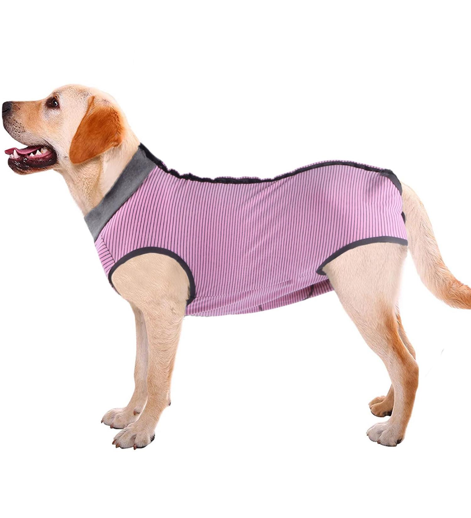 Dog Wound Protection Vest | Postoperative Clothing for Pets | Replace E-Collar | Medical Abdominal Protection for Puppies & Cats (M Pink) - Buy Online on GoSupps.com