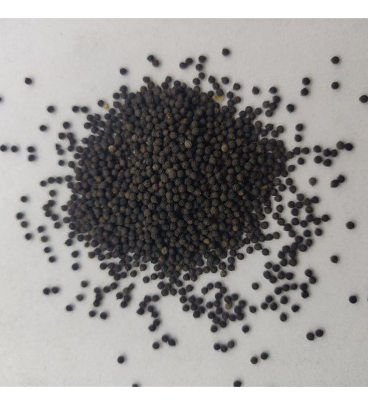 RAW HERBS/JADI BOOTI DRIED KATERI SEEDS BHATKATIYA KANTAKARI KATEHRI BEEJ BEEJ KATELI (100GM) - Buy Online on GoSupps.com