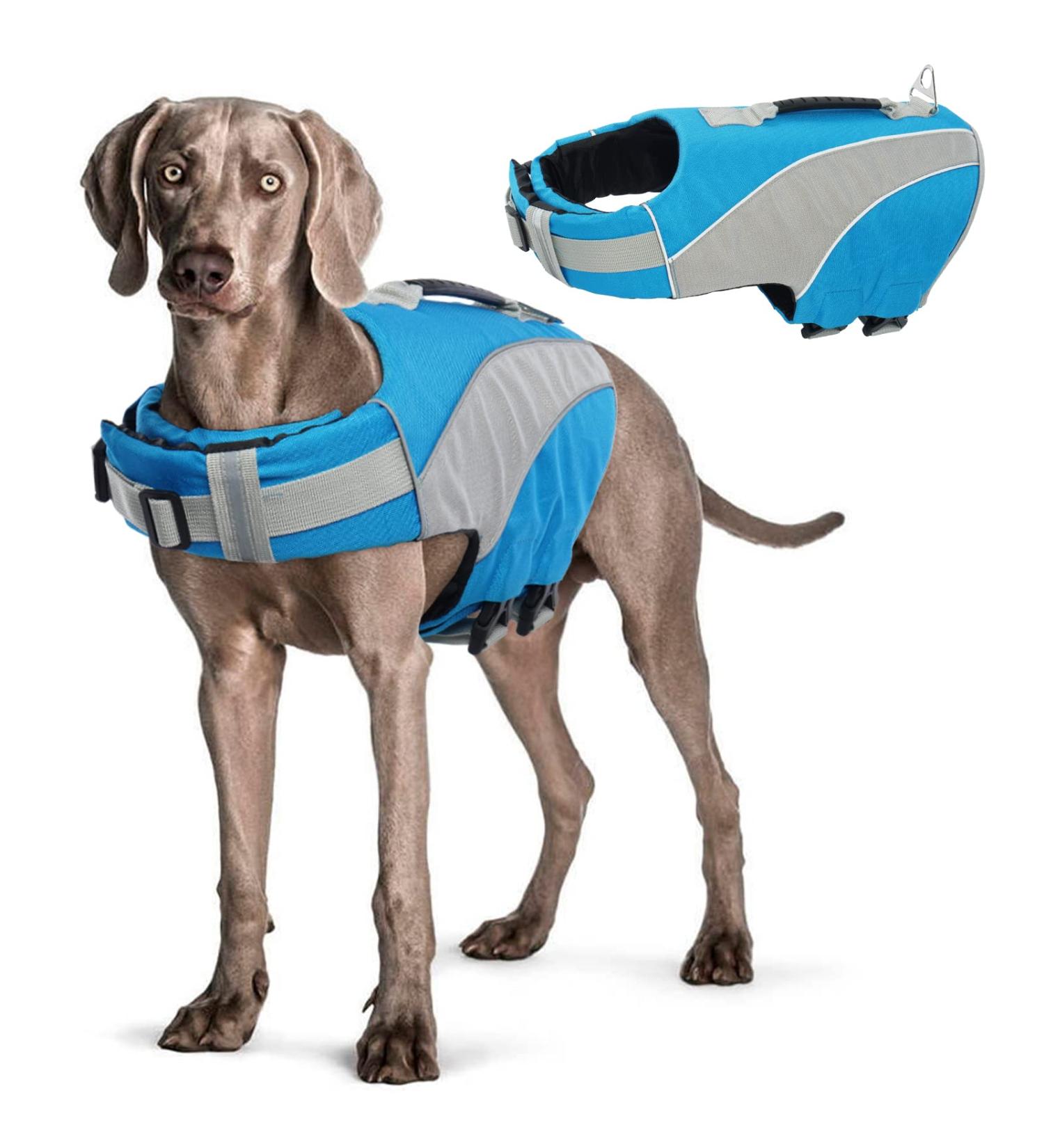 Hjyokuso Dog Life Jacket - Adjustable Reflective Swimming Aid for Dogs - Ripstop Material Strong Buoyancy & Rescue Handle - Blue Size L for Swimming Boating & Canoeing - Buy Online on GoSupps.com