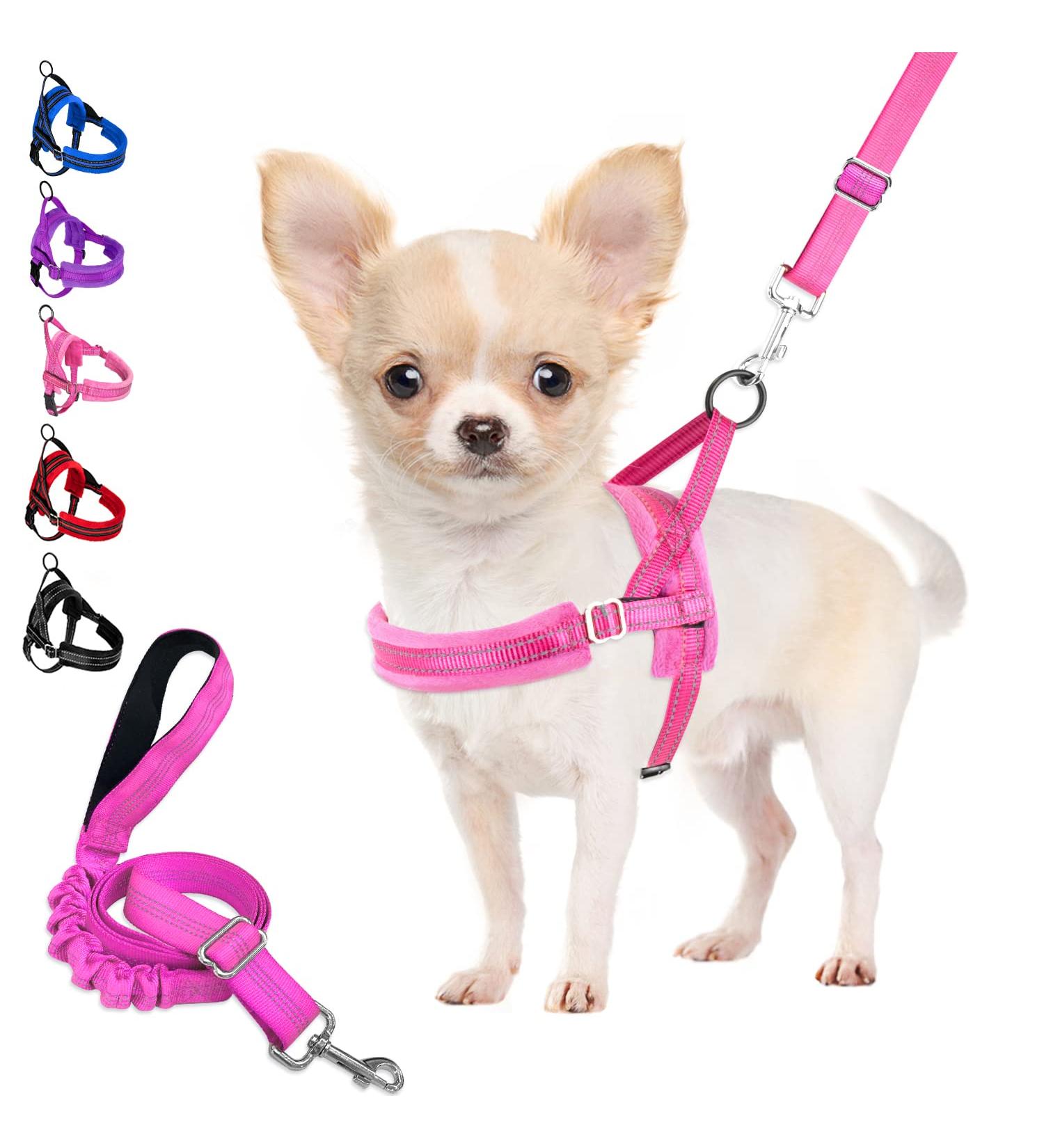 Eyein Reflective Small Dog Harness & Lead Set - Heavy Duty, Anti-Twist, Adjustable Vest Harness for Small Dogs and Cats - Easy Walk, Soft Padded, Quick Fit - Small Pink - Buy Online on GoSupps.com