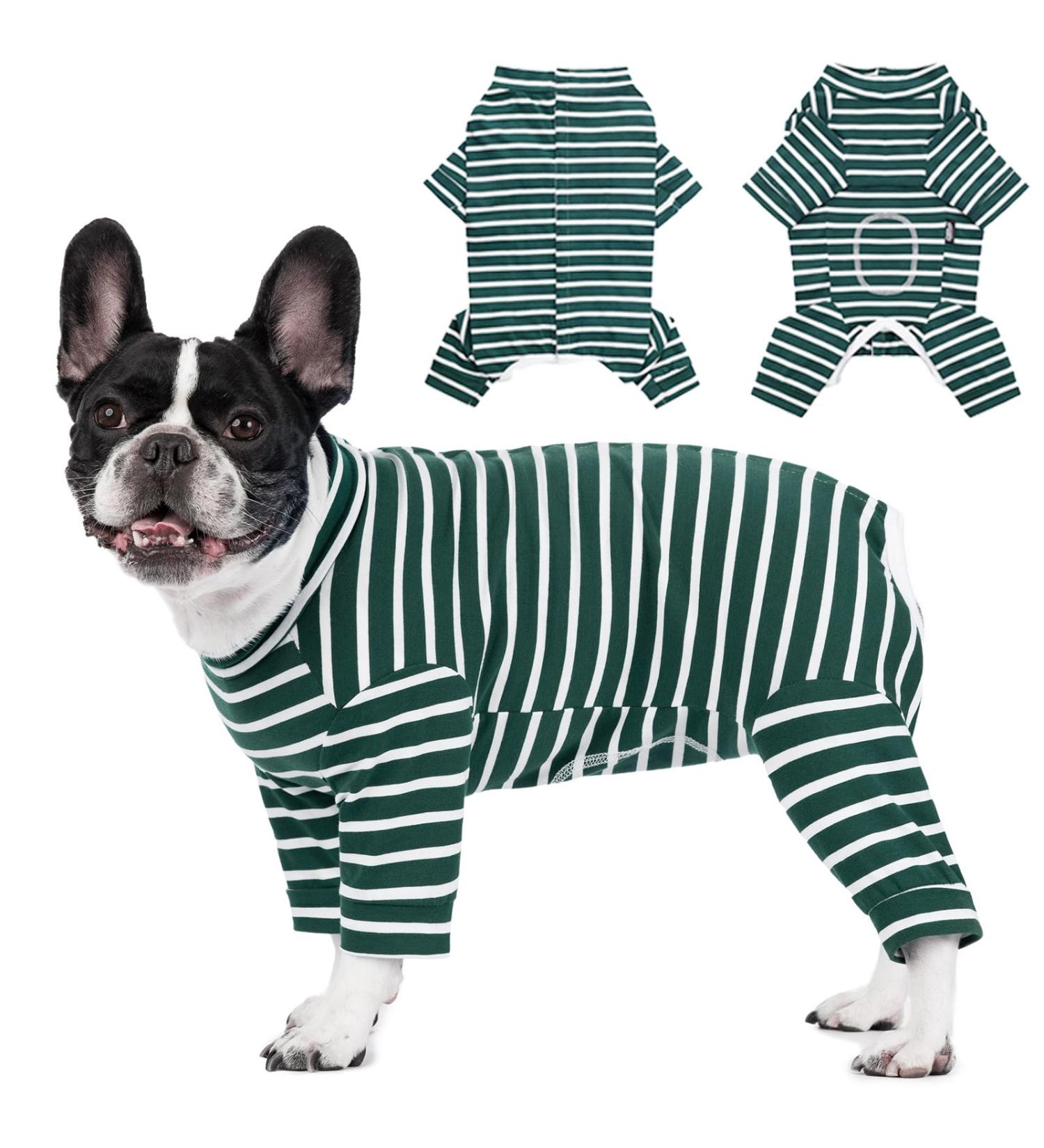 Shop Axcimond Long-Sleeved Dog Body for Small & Medium Dogs - Post-Op Wound Protection Anti-Leak Cone Alternative Green - Buy Online on GoSupps.com