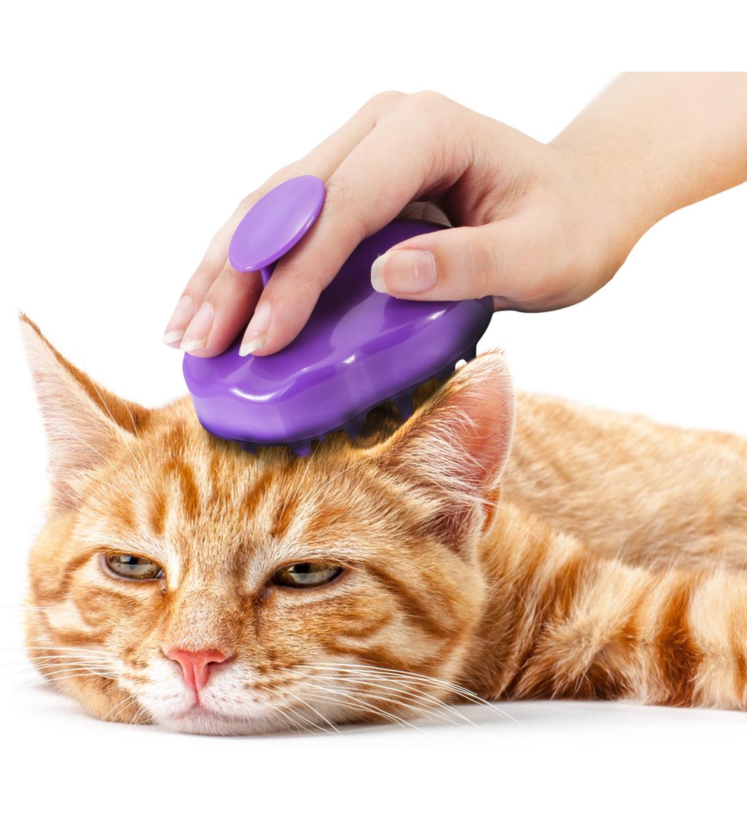 Cat Brush with Silicone Pins Grooming & Shedding Massage Brush for Short & Long Hair - Buy Online on GoSupps.com