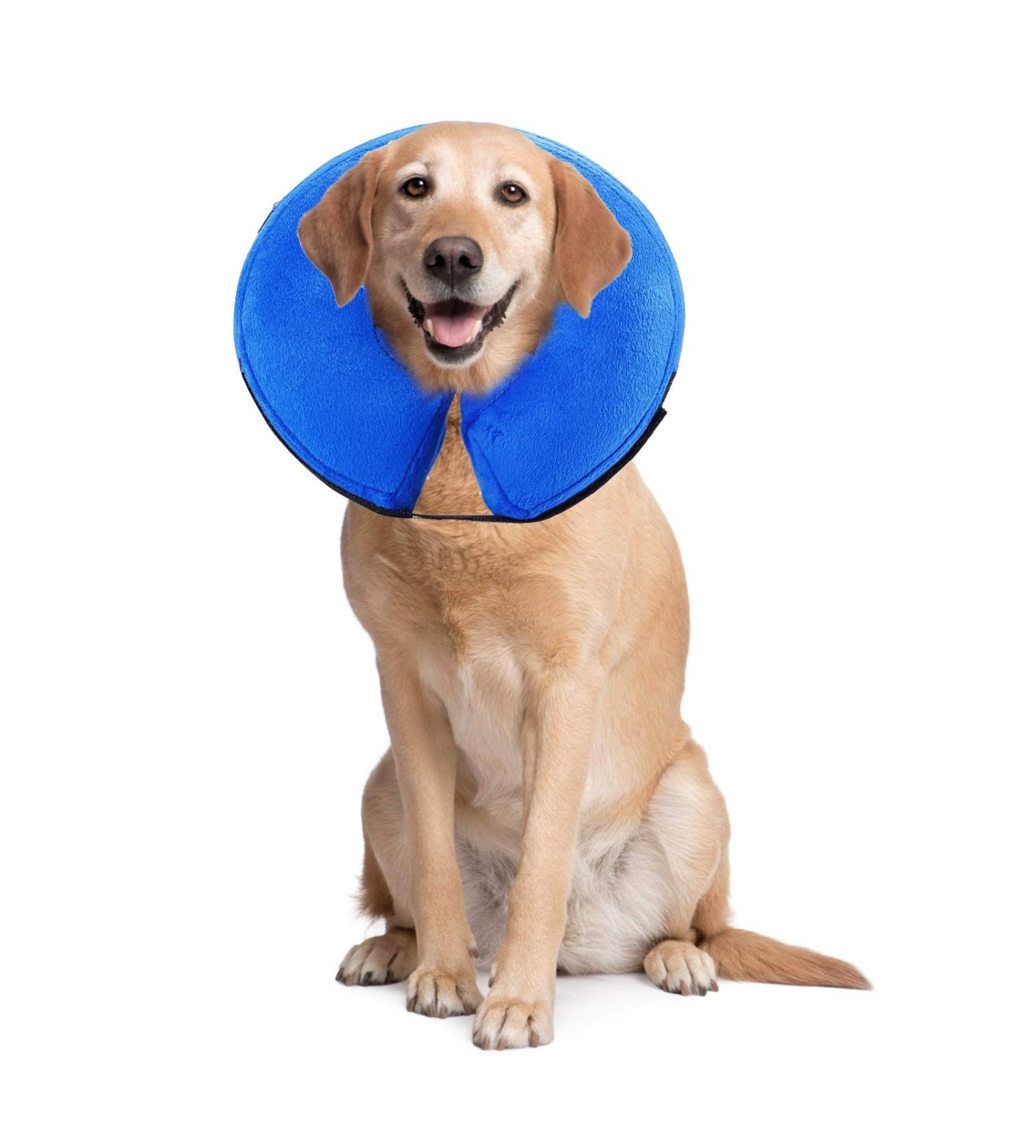 Comfortable Inflatable Pet Collar for Dogs & Cats - PS005 (M/Blue) | Recovery & Swimming Protection with Magic Zipper - Buy Online on GoSupps.com