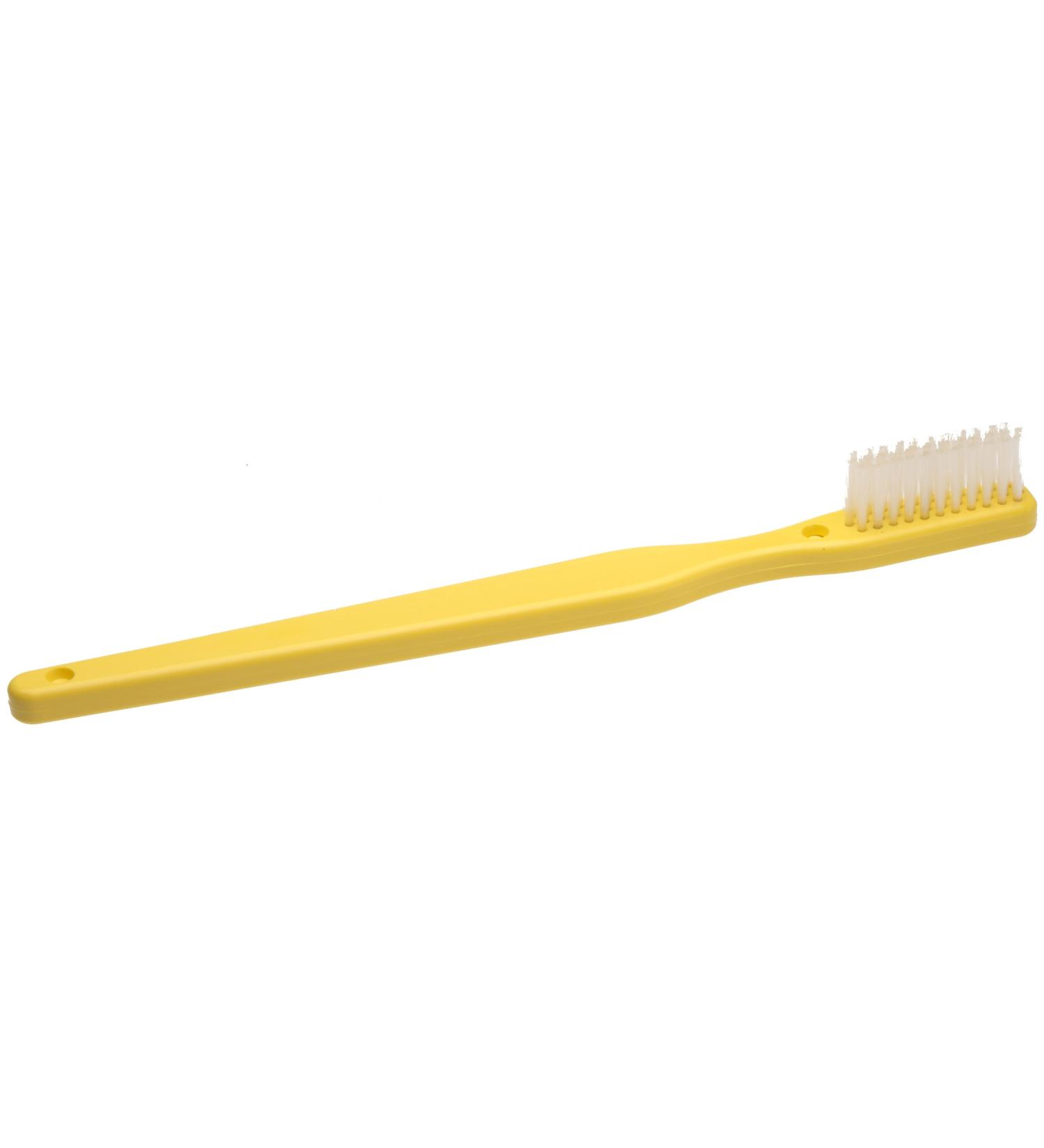 Oversized Demonstration Toothbrush