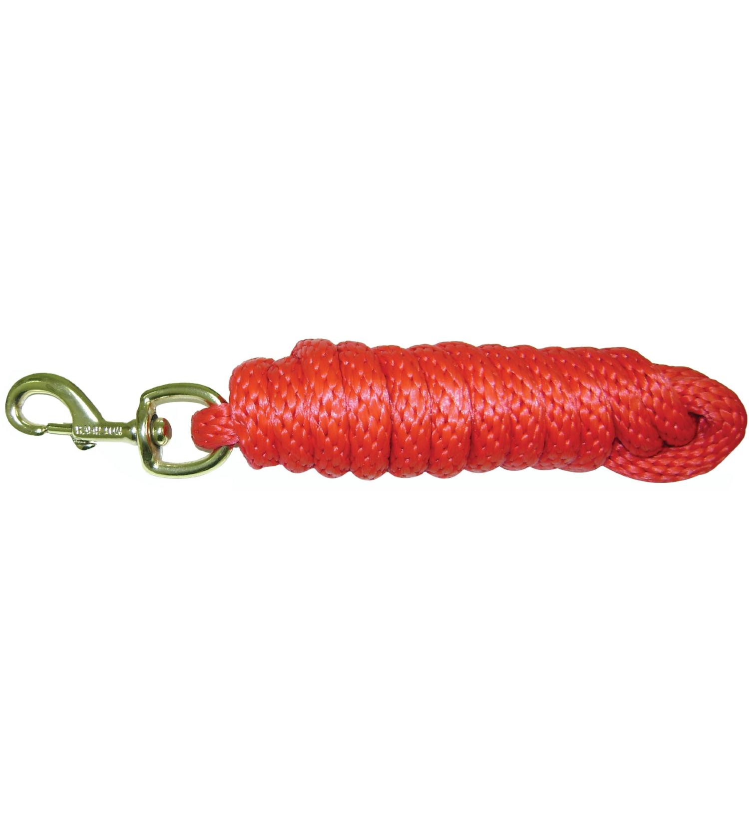 Hamilton Poly Leash with Snap Hook Red