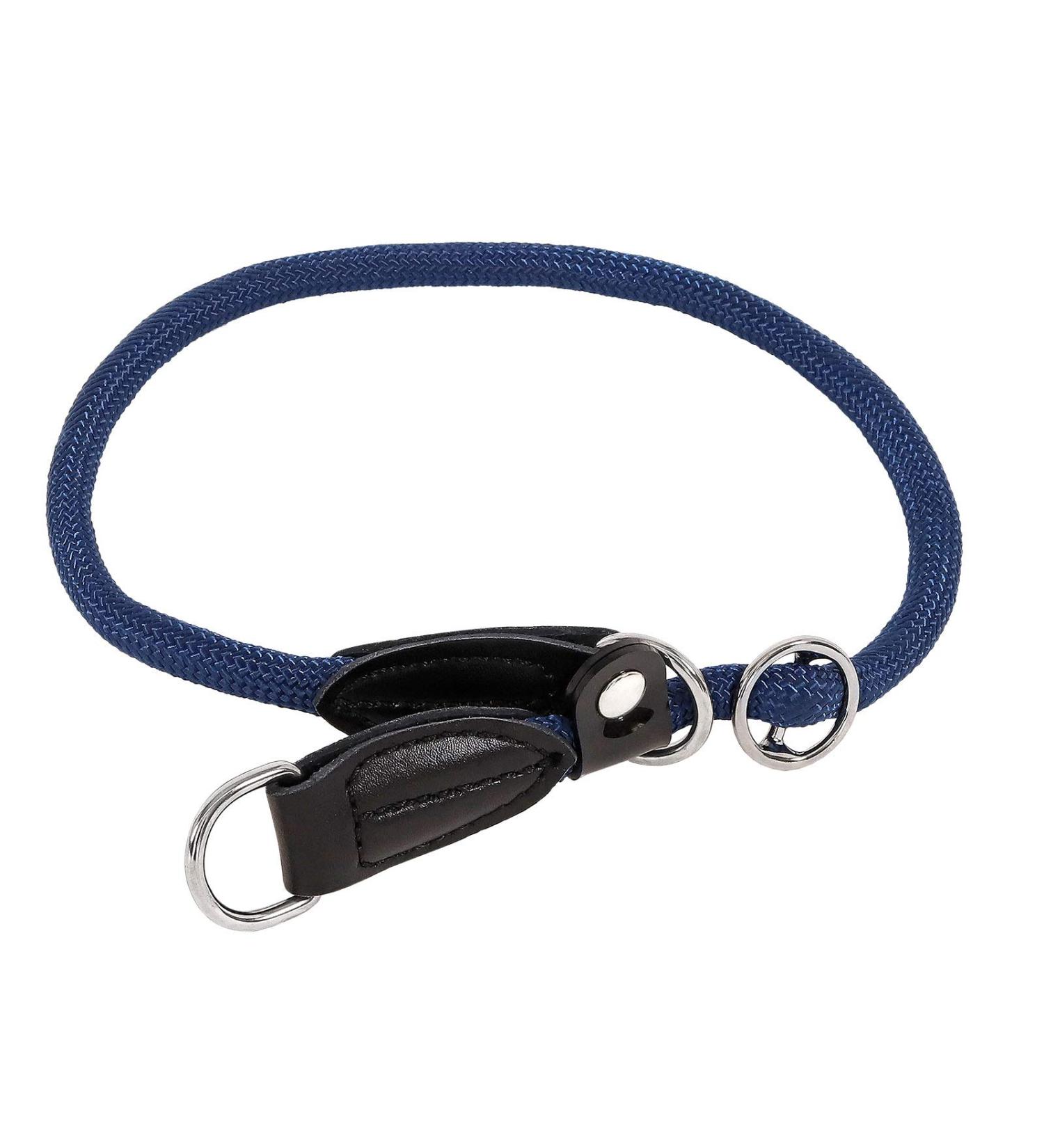 Buy Lionto Dog Collar - Blue Retriever Training Collar (40 cm Length 0.8 cm Thickness) - International Shipping Available - Buy Online on GoSupps.com