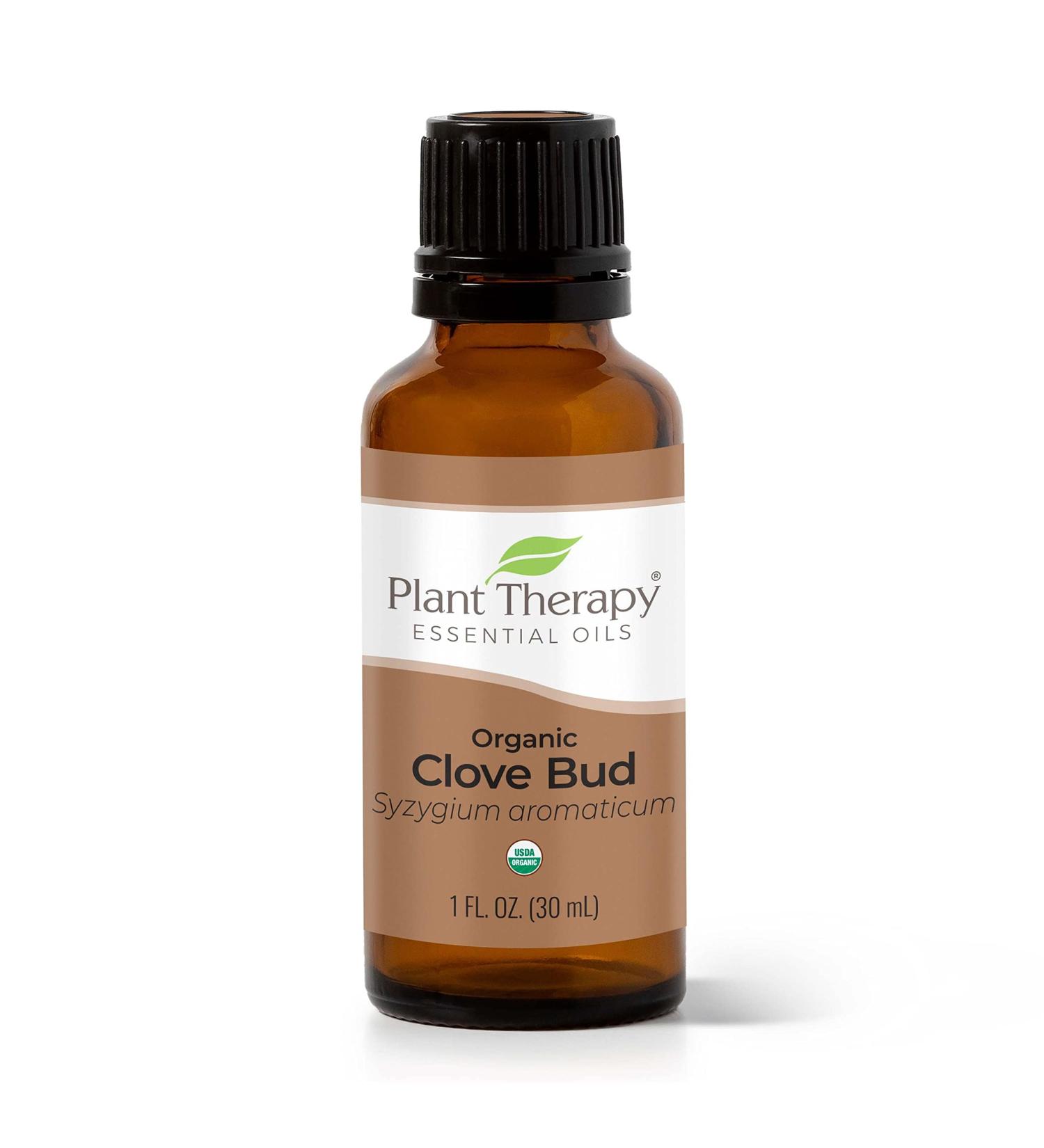 Buy Organic Clove Bud Essential Oil - 100% Pure USDA Certified Therapeutic Grade | Plant Therapy 30 mL (1 oz) - International Shipping Available - Buy Online on GoSupps.com