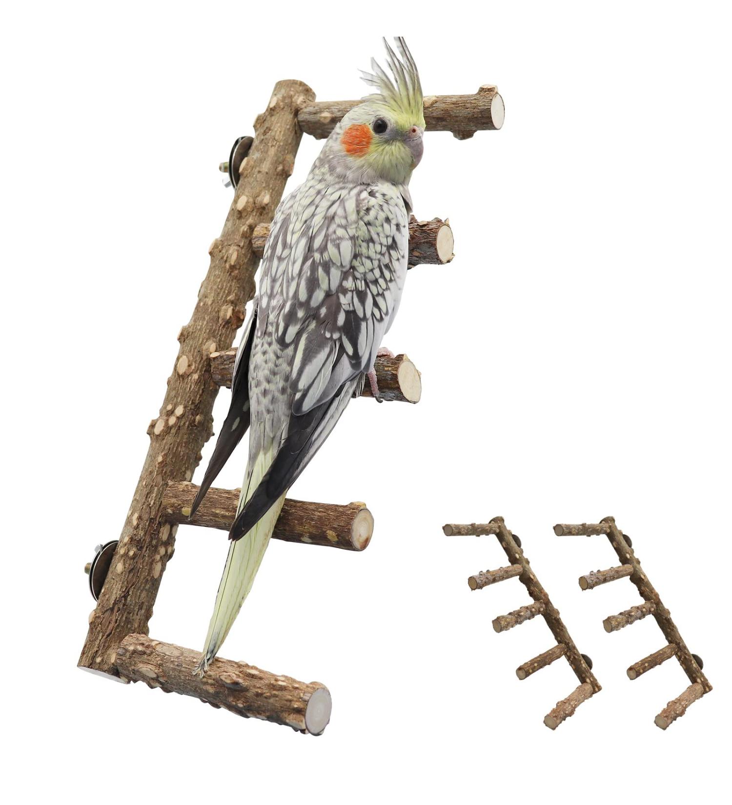 2 Pack Natural Prickly Ash Wood Bird Ladder & Perch Stand - Cage Accessories for Parakeet, Cockatiel, Rats, Hamsters - Climbing, Chewing Toys - Buy Online on GoSupps.com