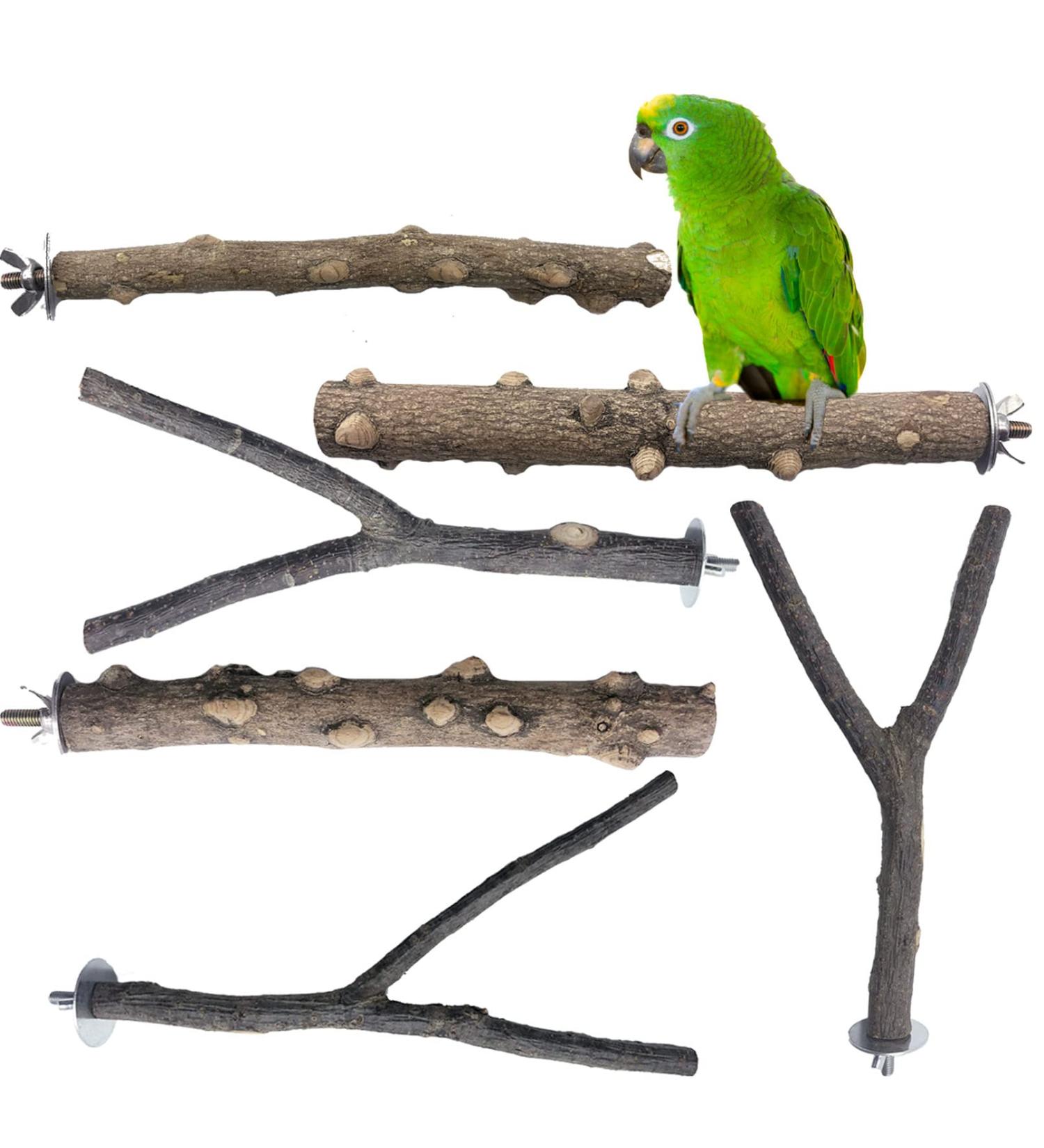 Kathson 6 PCS Parrot Perch Toy Set - Natural Wood Bird Cage Accessories for Parakeet, Budgies, Lovebirds - Buy Online on GoSupps.com