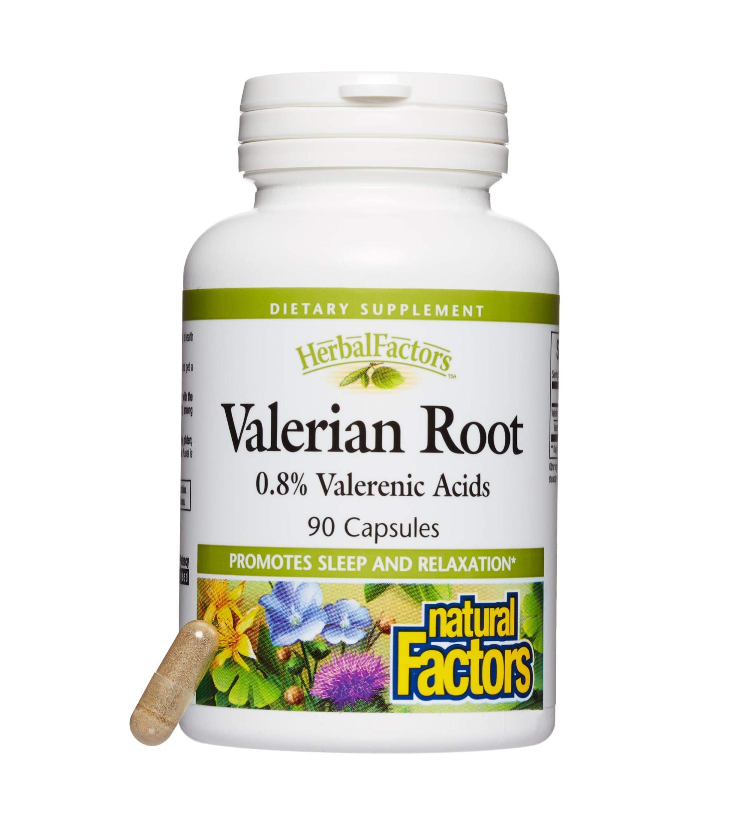 Valerian Root Extract by Natural Factors - 90 capsules - Buy Online on GoSupps.com