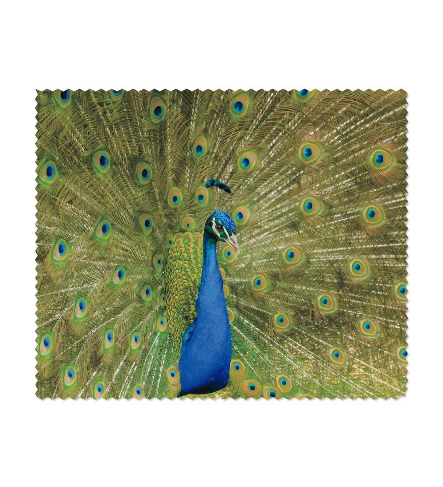 Shop Peacock Display Microfiber Lens & Eyeglass Cleaning Cloths | International Shipping Available - Buy Online on GoSupps.com