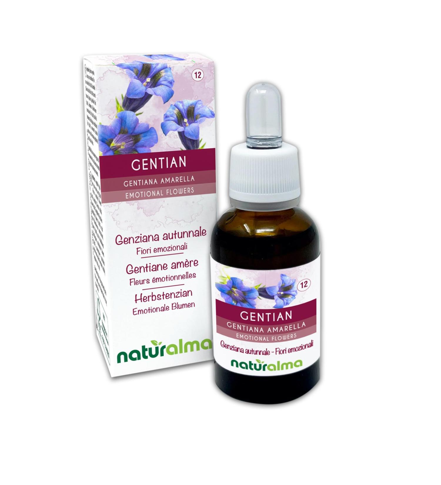 Gentian ou Gentiane am re (Gentiana amarella) Fleurs motionnelles ou Fleurs de Bach Naturalma - Gouttes 30 ml - Extrait liquide sans alcool - Essences florales - Vegan