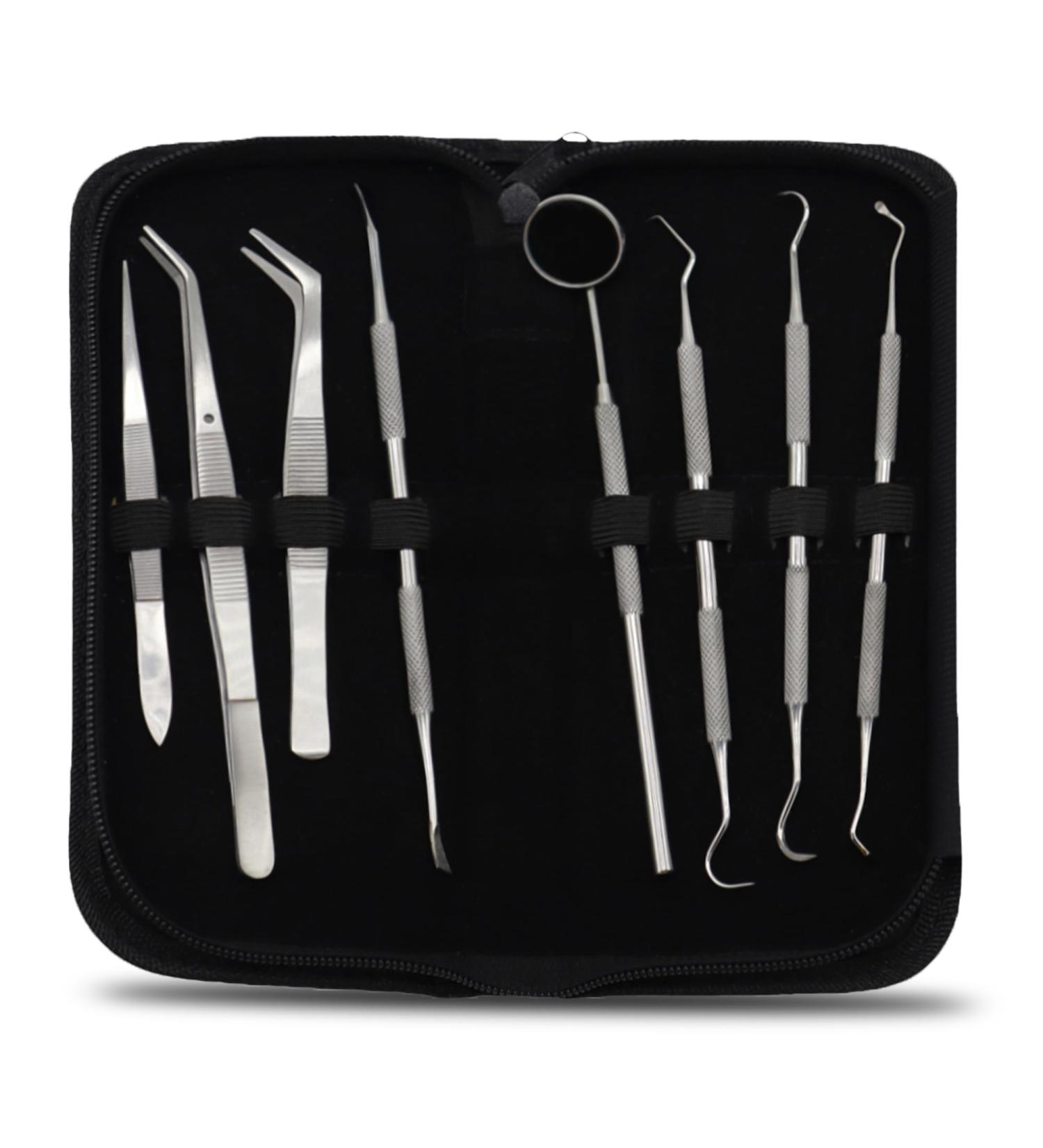 STELLMACHER 8 Pcs Dental Kit - Professional Stainless Steel Tools for Teeth Cleaning Plaque & Tartar Removal | Dental Hygiene Essentials - Buy Online on GoSupps.com