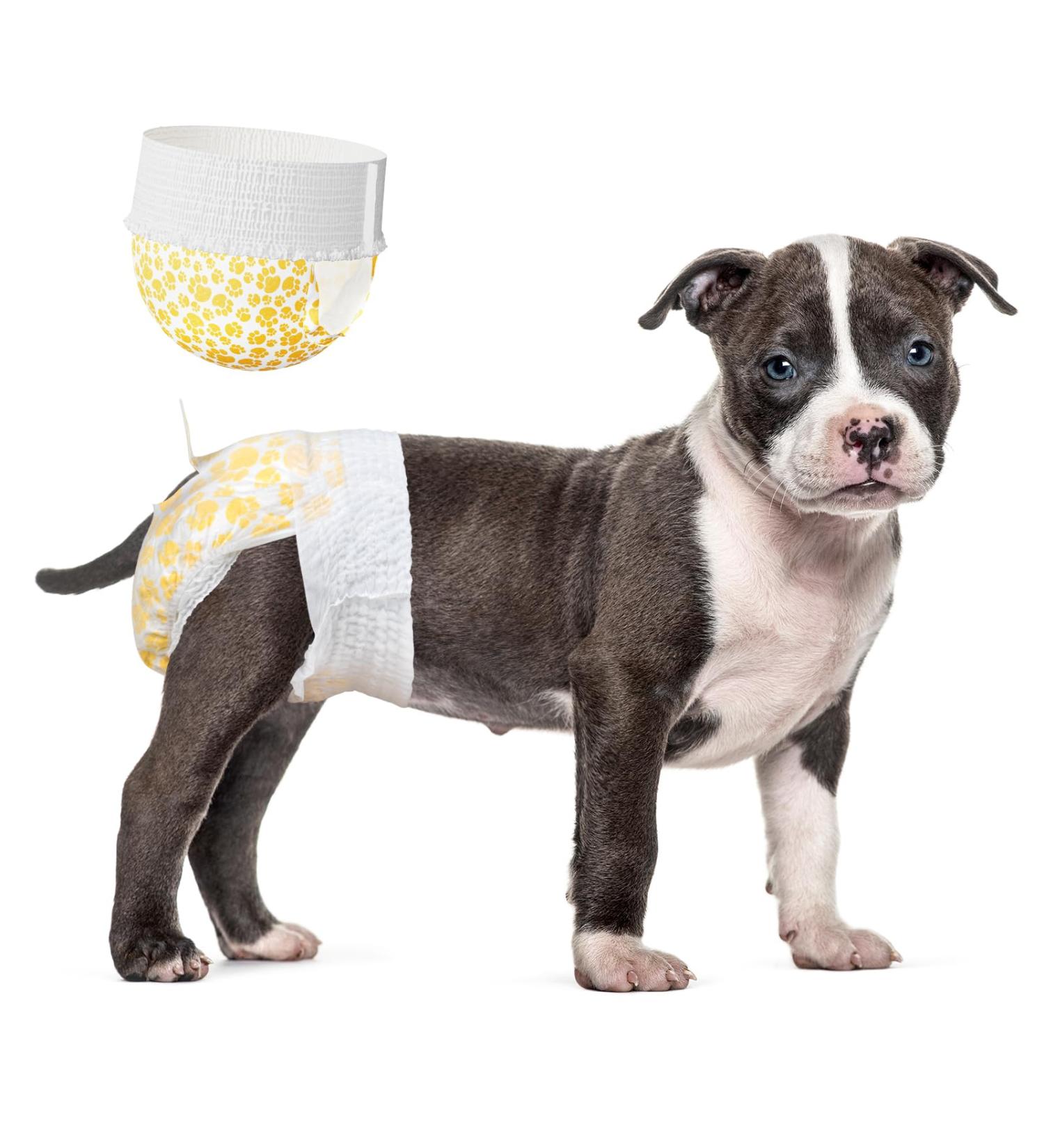 15 Pack Pull-On Disposable Dog Diapers for Female & Male Dogs | Stretchable Waistband Fits 30-50 cm | Premium Pet Care - Buy Online on GoSupps.com