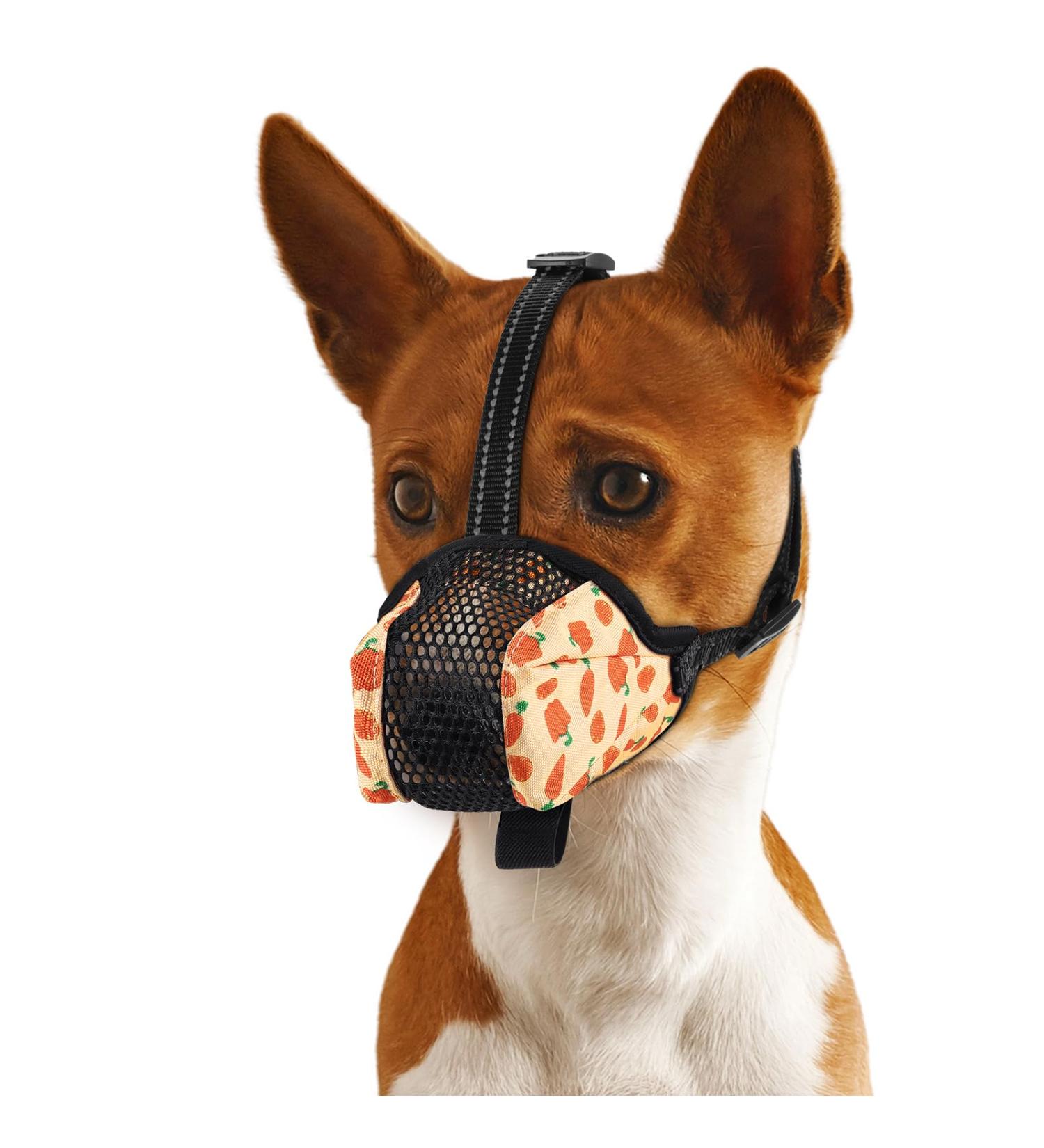 BONTHEE Dog Muzzle Soft Mesh Muzzles for Small Medium Large Sized Dogs Muzzle for Dogs to Prevent Biting Breathable Puppy Muzzle for Scavenging Grooming Biting Chewing and Licking Carrot M - Buy Online on GoSupps.com
