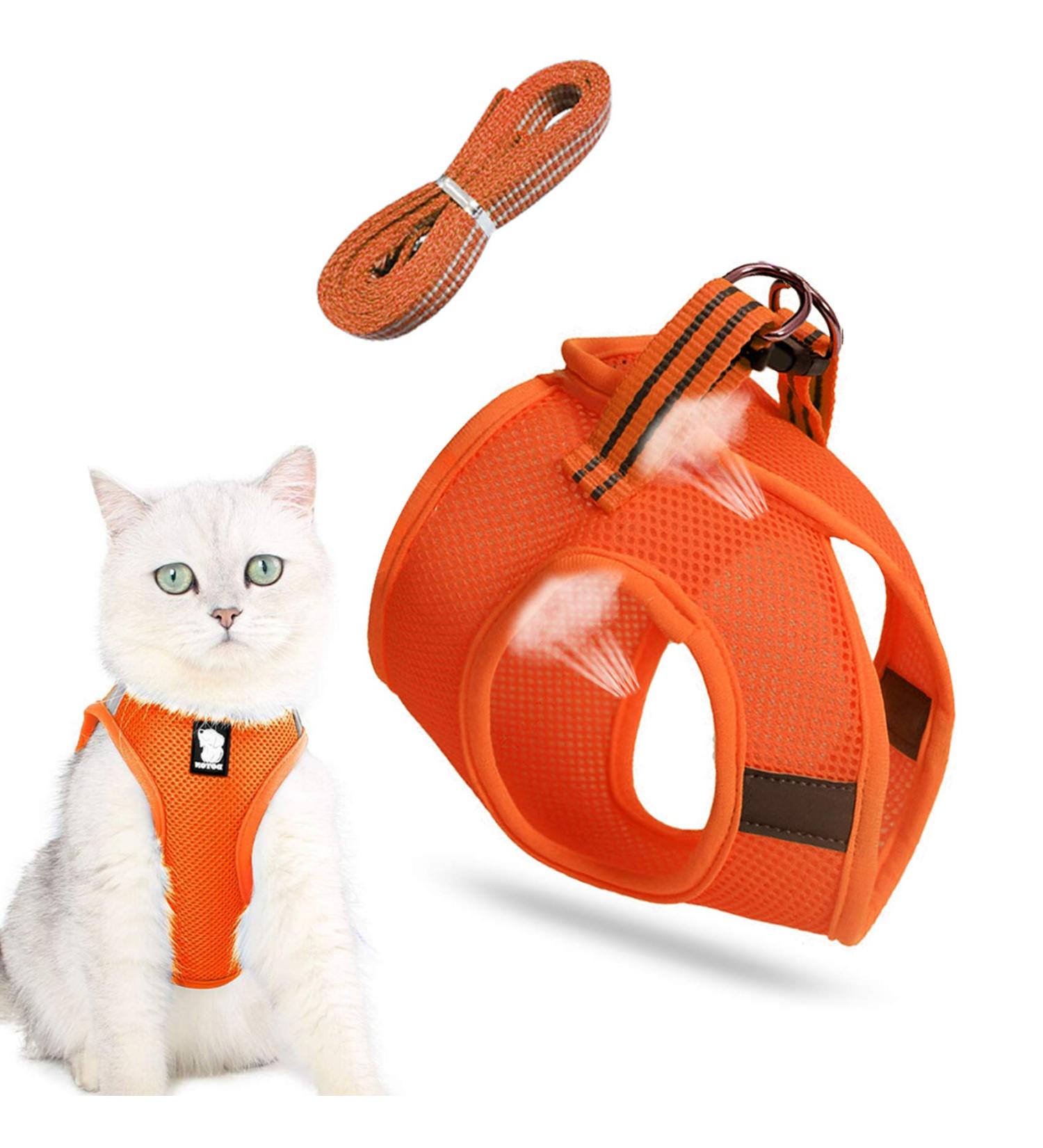 Buy Cat Harness & Leash Set | Cat Dishes for Small Cats | Outdoor Walking Accessories - Buy Online on GoSupps.com
