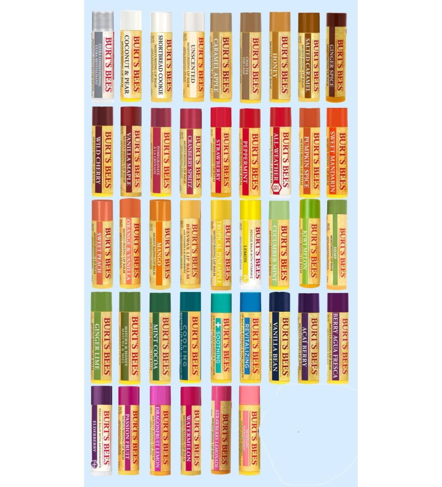 Burt's Bees 10 Count Lip Balm Variety Gift Pack -Stocking Stuffer - Assorted Flavors - Choosen at Random