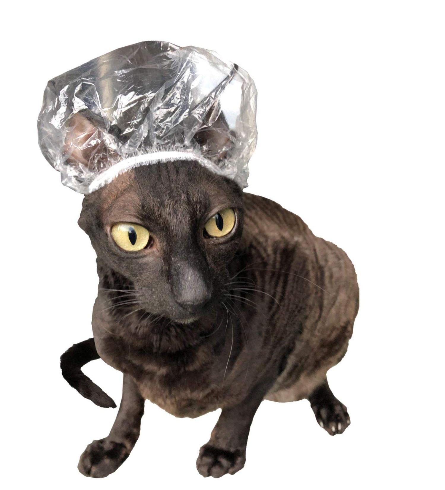 Kotomoda Shower Caps for Sphynx Cats and small pets 20pcs Transparent - Buy Online on GoSupps.com