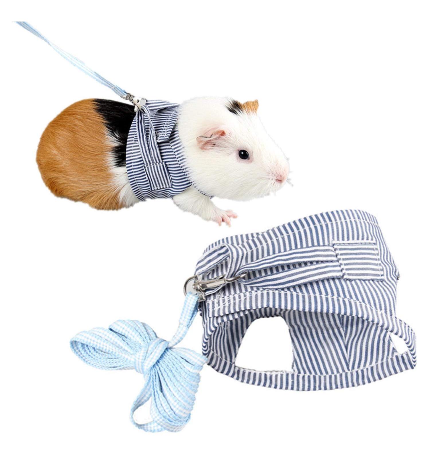 Small Animal Harness Leash Ferret Harness Outdoor Walking Vest Harness for Chinchilla Rat Squirrel Hedgehog Ferret Outdoor Walking Clothes (Blue S) - Buy Online on GoSupps.com
