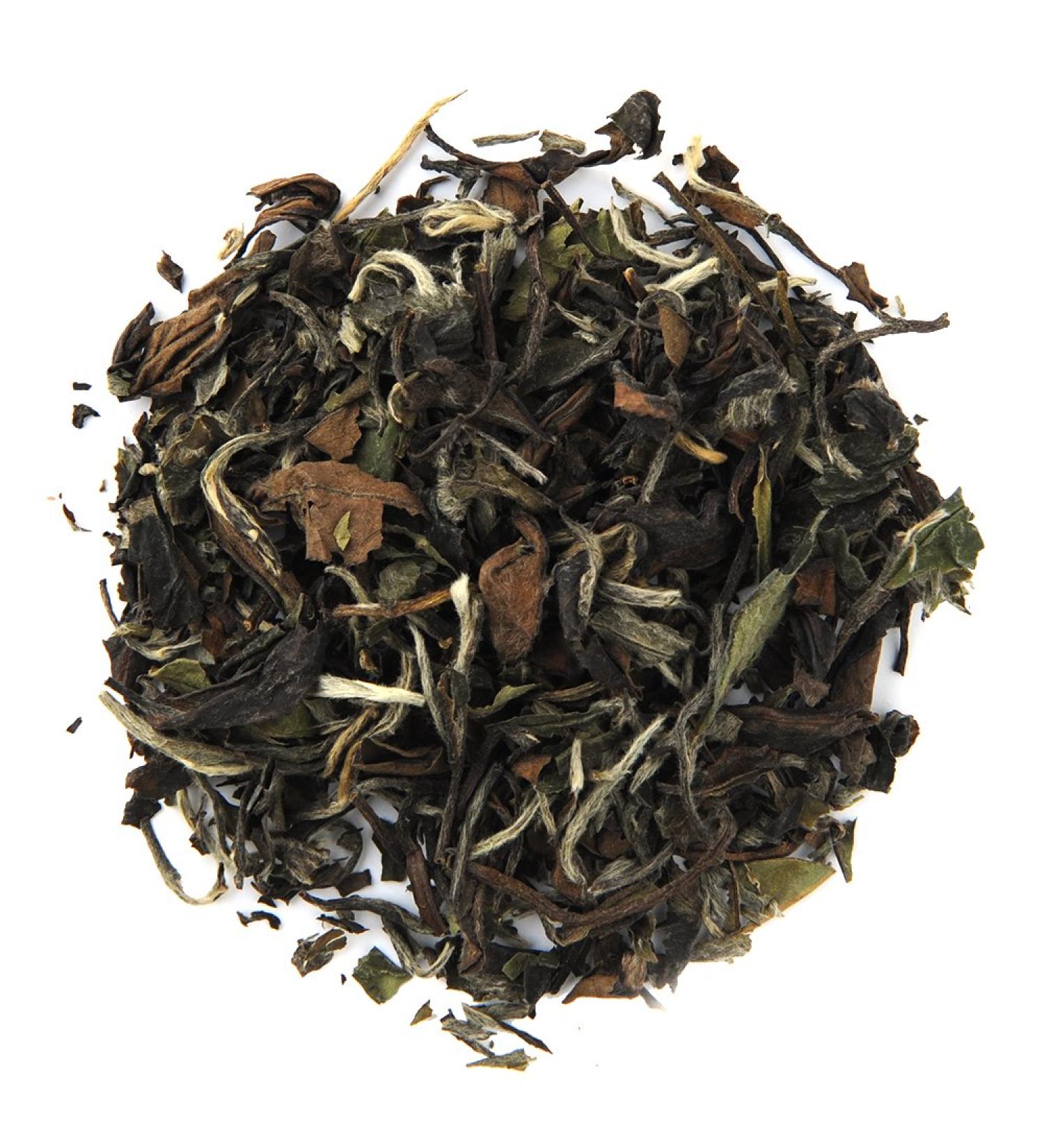 Organic Positively Tea Company, White Peony White Tea, Loose Leaf, 16 Ounce White Peony 1 Pound (Pack of 1)