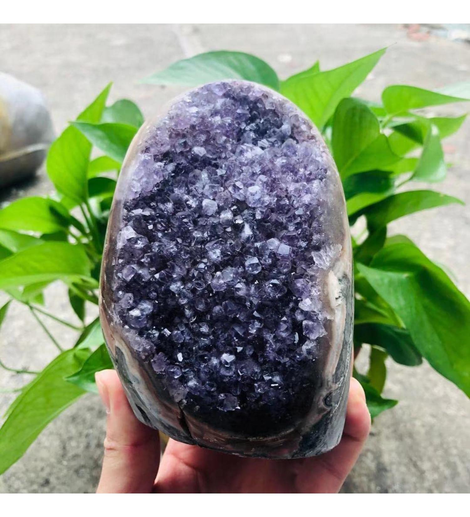 200g-2000g Natural Amethyst Geode Quartz Cluster Crystal Specimen Stone 1pc Suitable for Home HOMEZHOU (Color : 770g-900g 1pc) - Buy Online on GoSupps.com