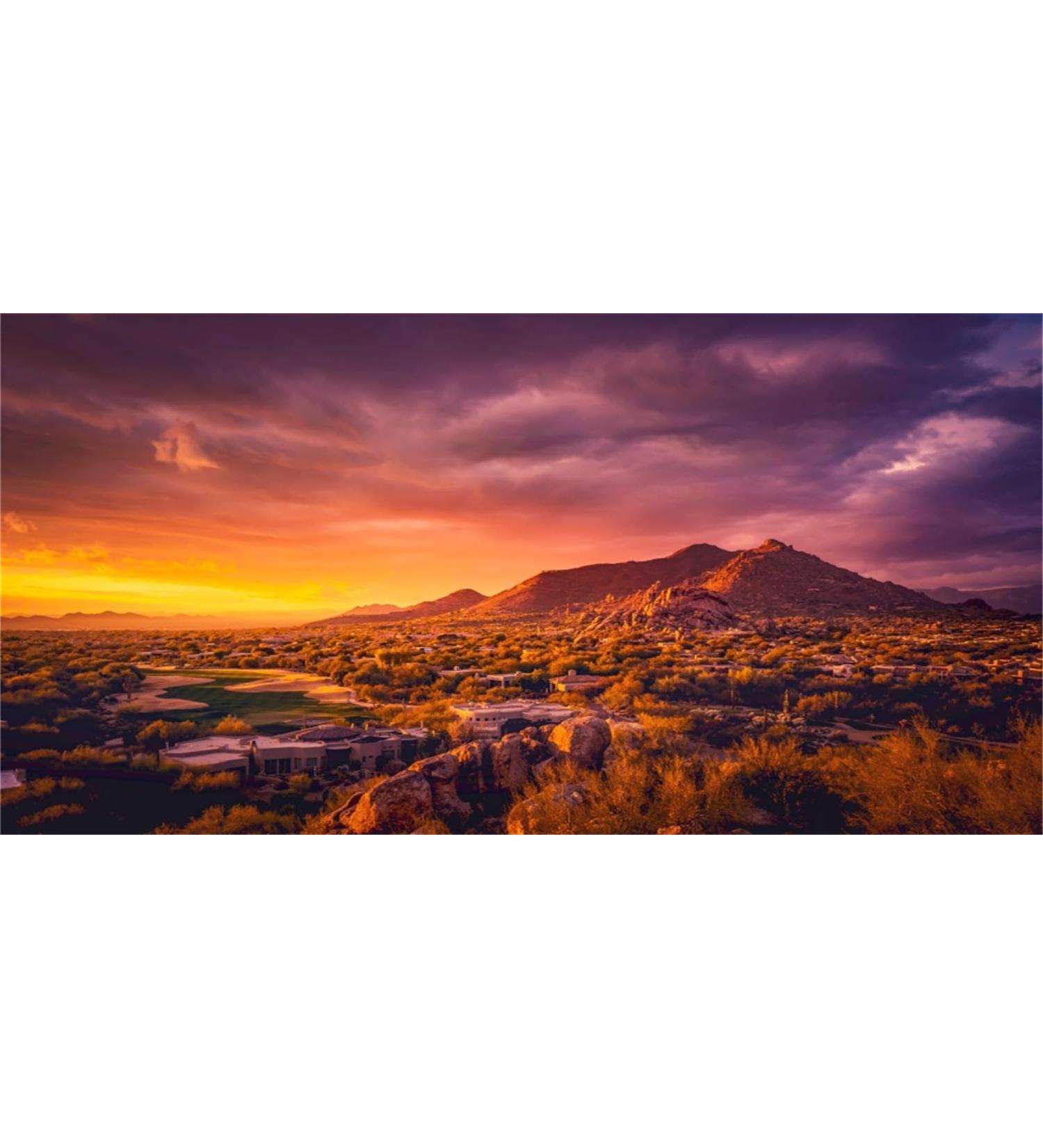 MIRRORANG 91x50cm Sun and Desert Terrarium Background Mountain Oasis Gobi Reptile Habitat Background Durable Vinyl Background 91x50cm style 5