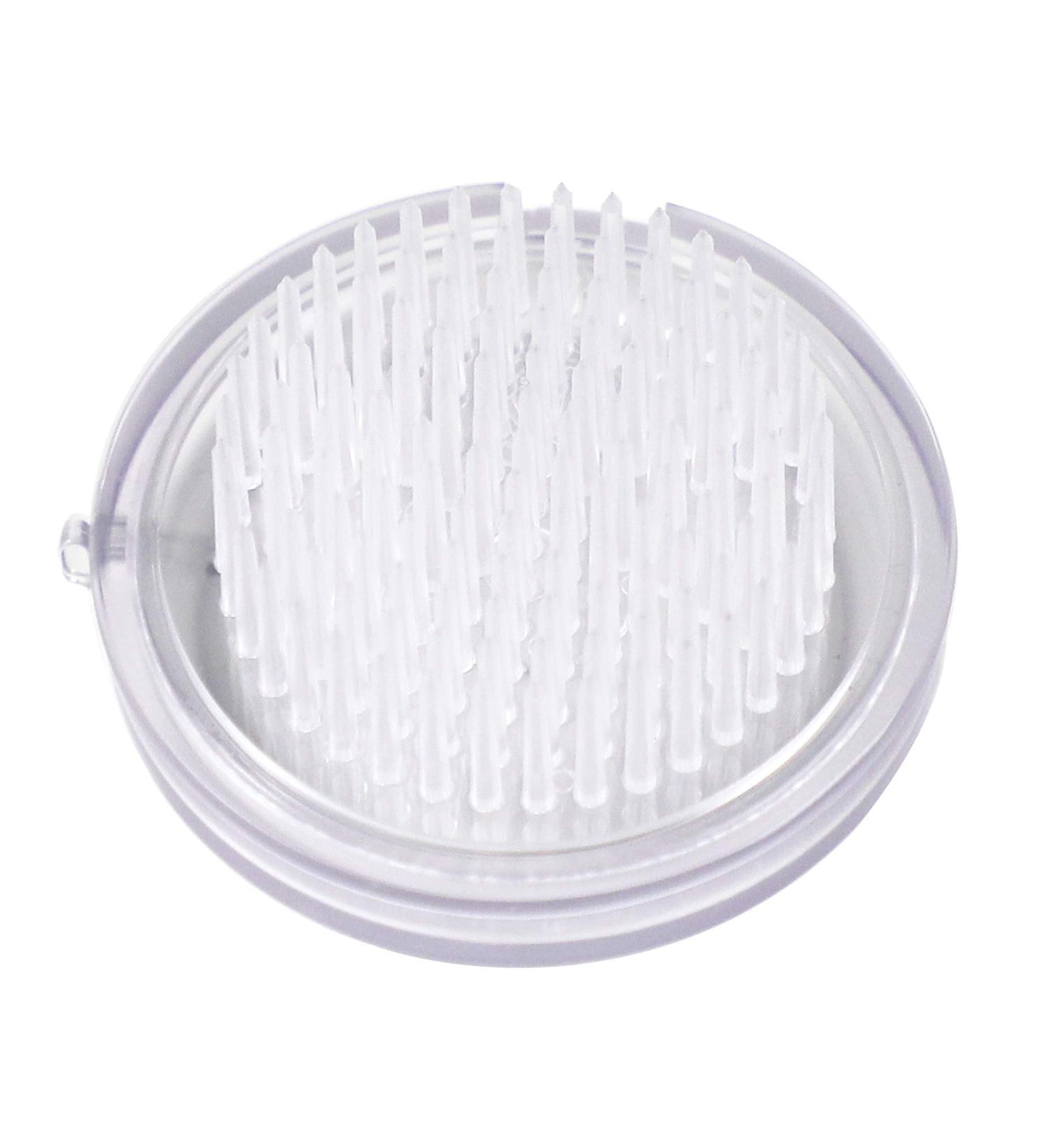 Wazakura Clear Ikebana Kenzan 2 (53mm) - Japanese Flower Holder Made in Japan - Buy Online on GoSupps.com