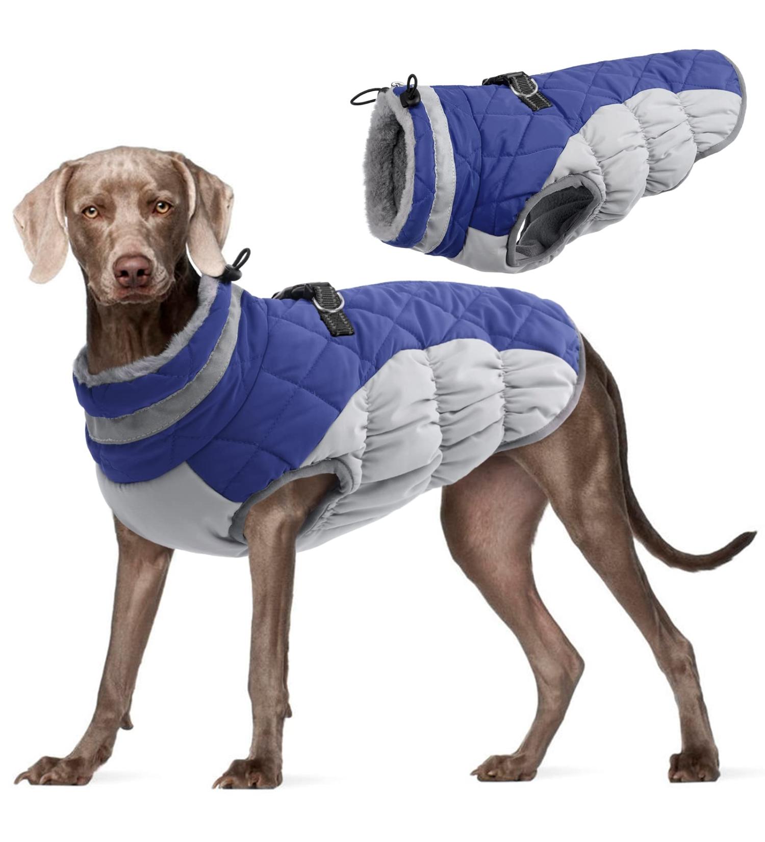 Kuoser Waterproof Dog Coat - Winter Warm Jacket for Small & Medium Dogs | Cozy Fleece Lined Reflective Vest in XXL Blue - Buy Online on GoSupps.com