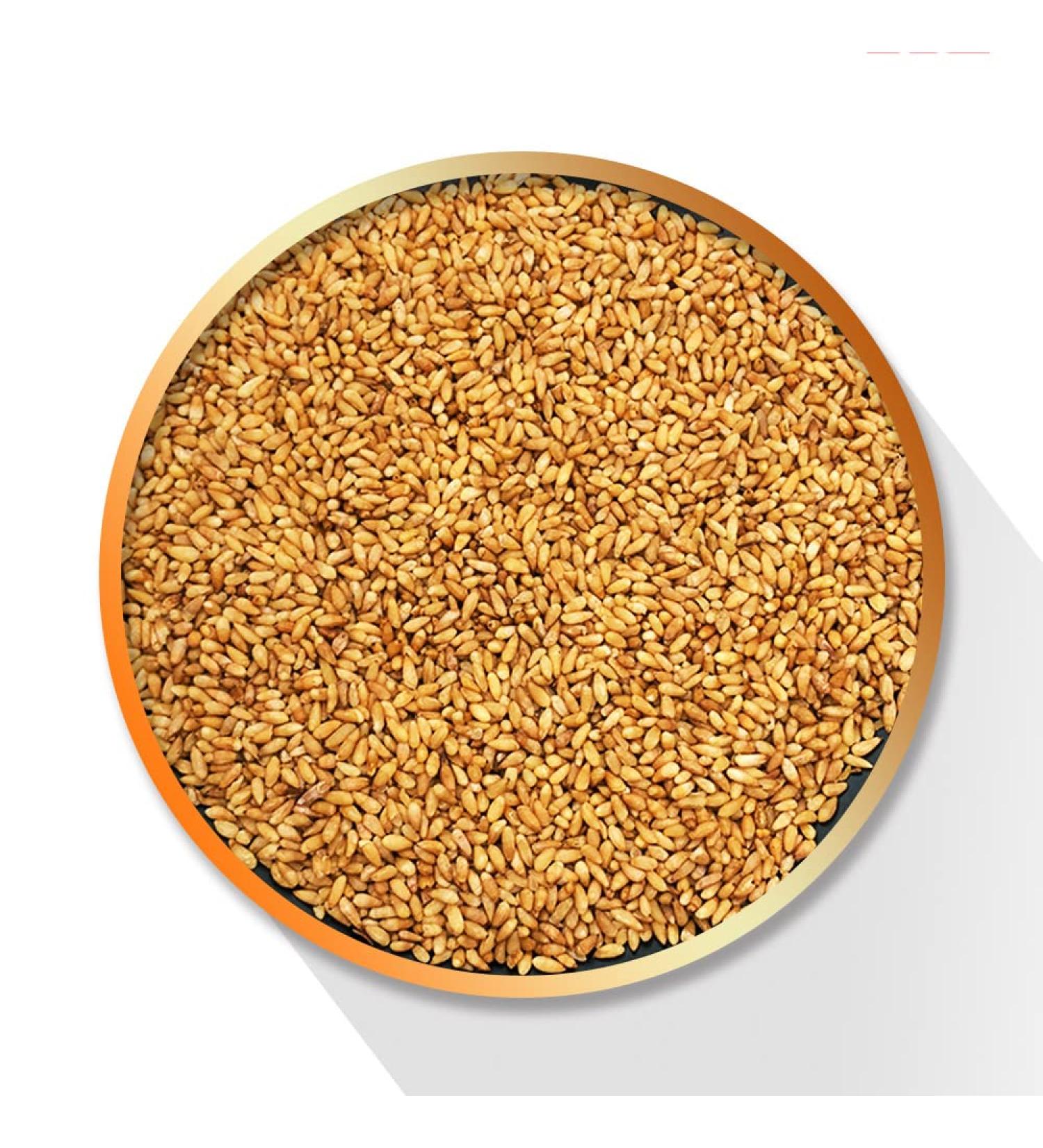 Semen Platycladi Platycladus Orientalis Platycladi Seed the Semen Boitae the Seed of Oriental Arborvitae baiziren Bozi papyriferus Cypress Seeds and Nuts cedar Seed (500 g(1.10 Pound)) - Buy Online on GoSupps.com