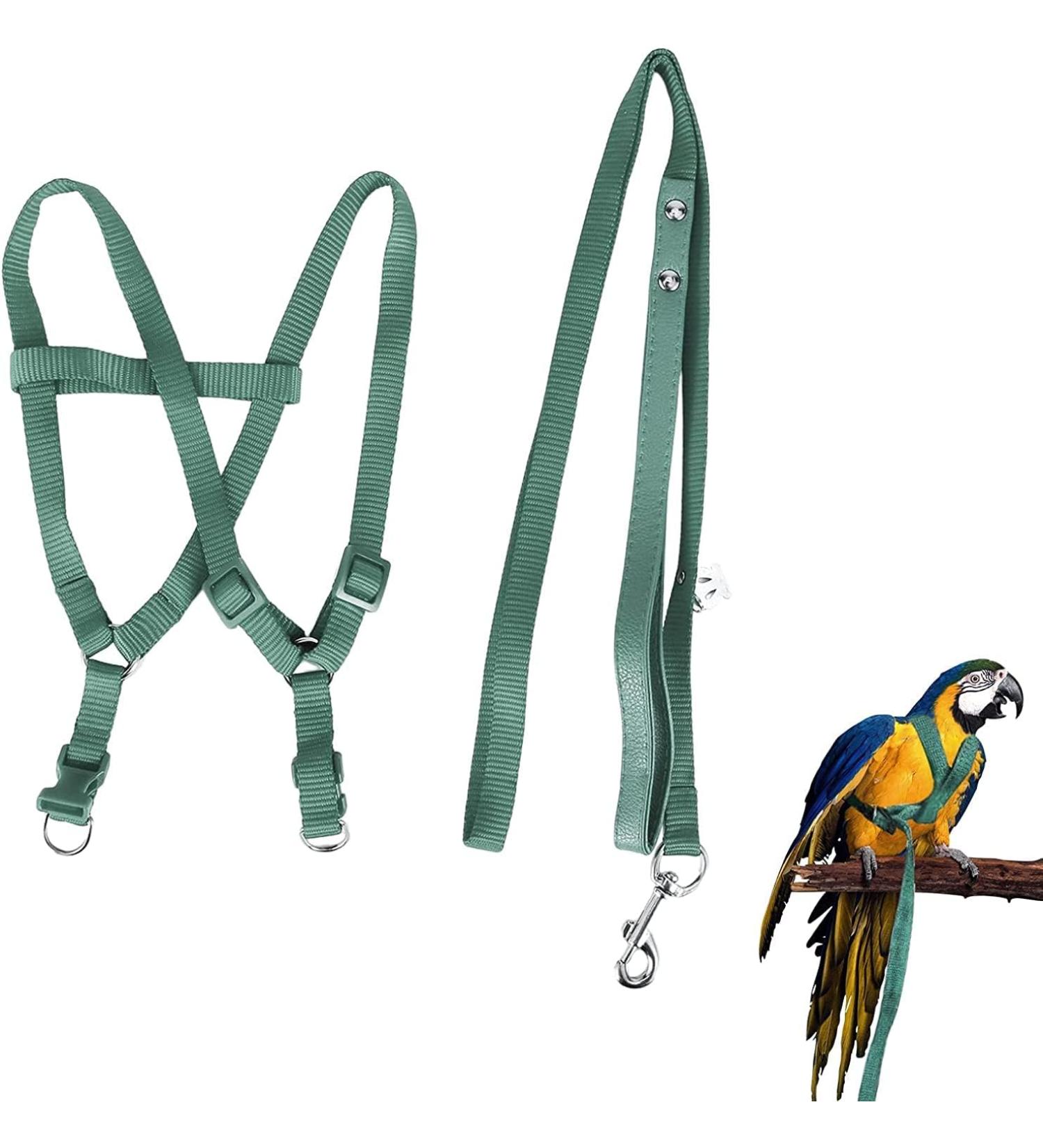 Camidy Adjustable Bird Harness and Leash Kit Macaw Cockatoos Bird Leash for Parrots Outside Training Walk for Large Bird Parrots Green L - Buy Online on GoSupps.com
