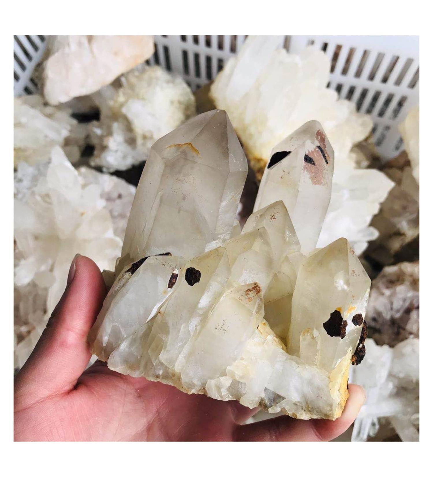 1pc Bulk Natural Rock Clear White Large Quartz Crystal Stone Cluster 700g-2000g for Home Decoration Crystal Cluster (Color : 1pc 700g-850g) - Buy Online on GoSupps.com