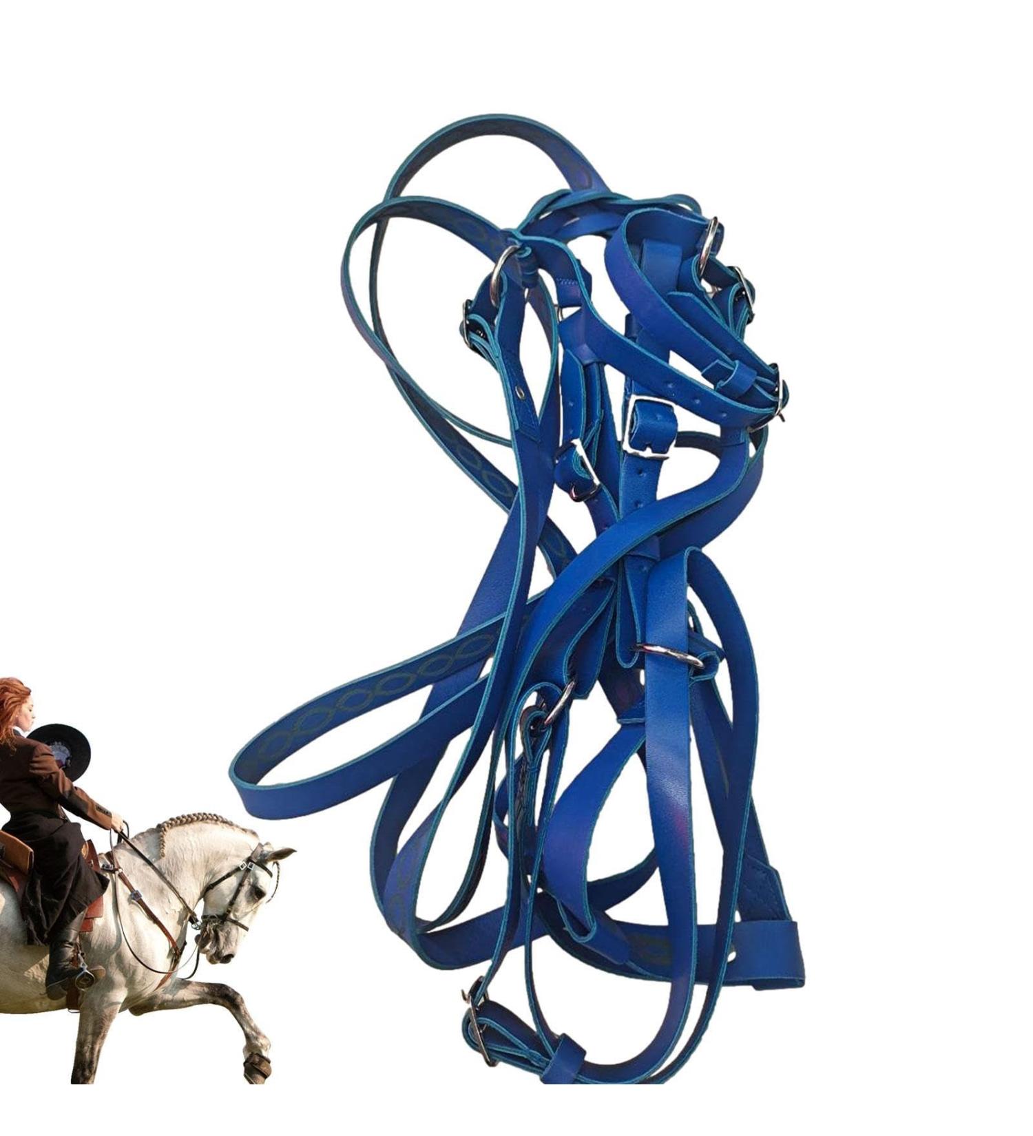 Halter for Horse | Safety Halter Chin & Throat Snap Heavy Duty Tied Halter Colorful Padded Nylon Size Horse Care for Horse Grooming Training Pochy Blue - Buy Online on GoSupps.com
