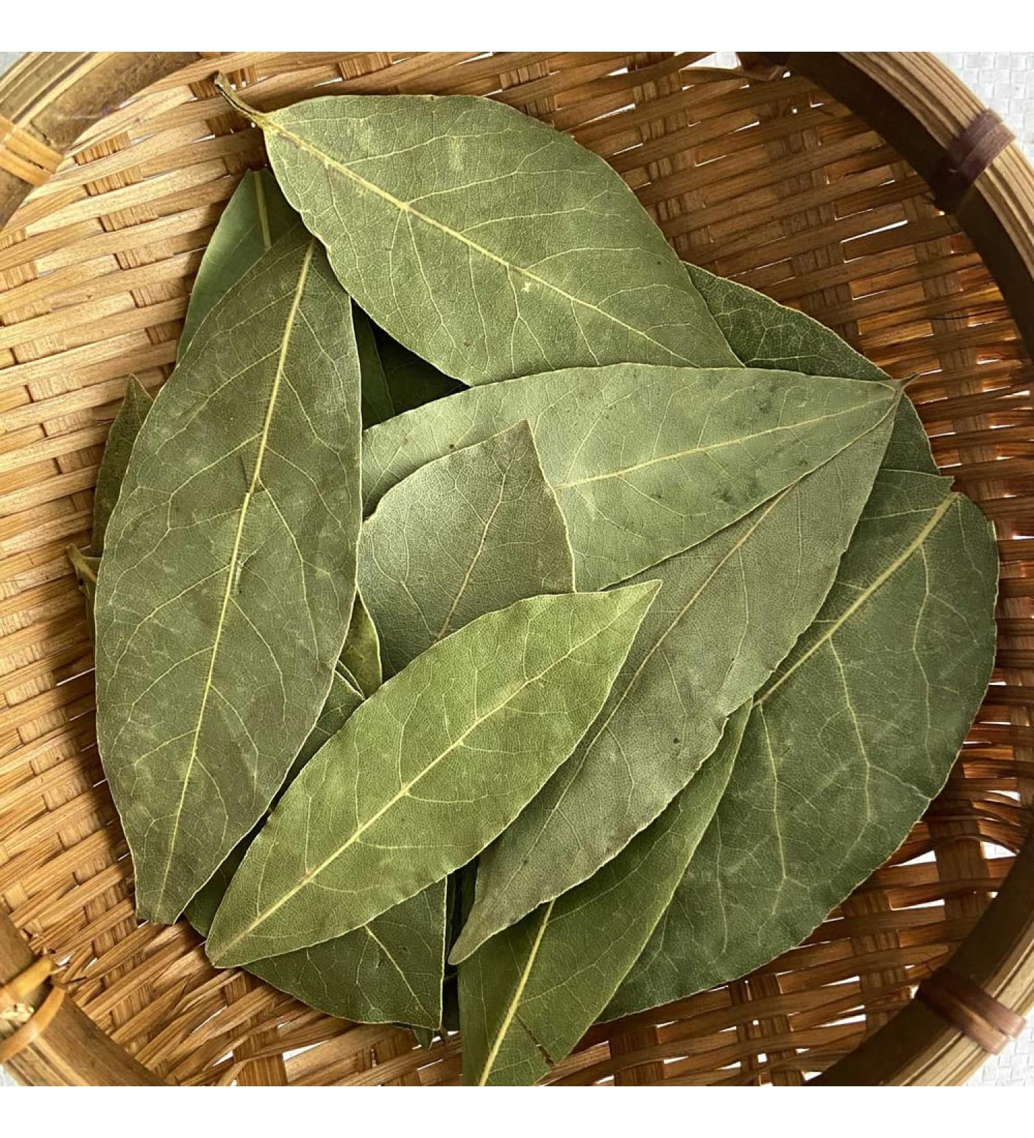 Bay Leaf Bay Leaves Myrcia Laurel Leaf Folium Laurus Nobilis Yue Gui Ye Bay Leaf Tea Dried Bay Leaves Bay Leaves Organic Wild Bay Leaf 16oz - Buy Online on GoSupps.com