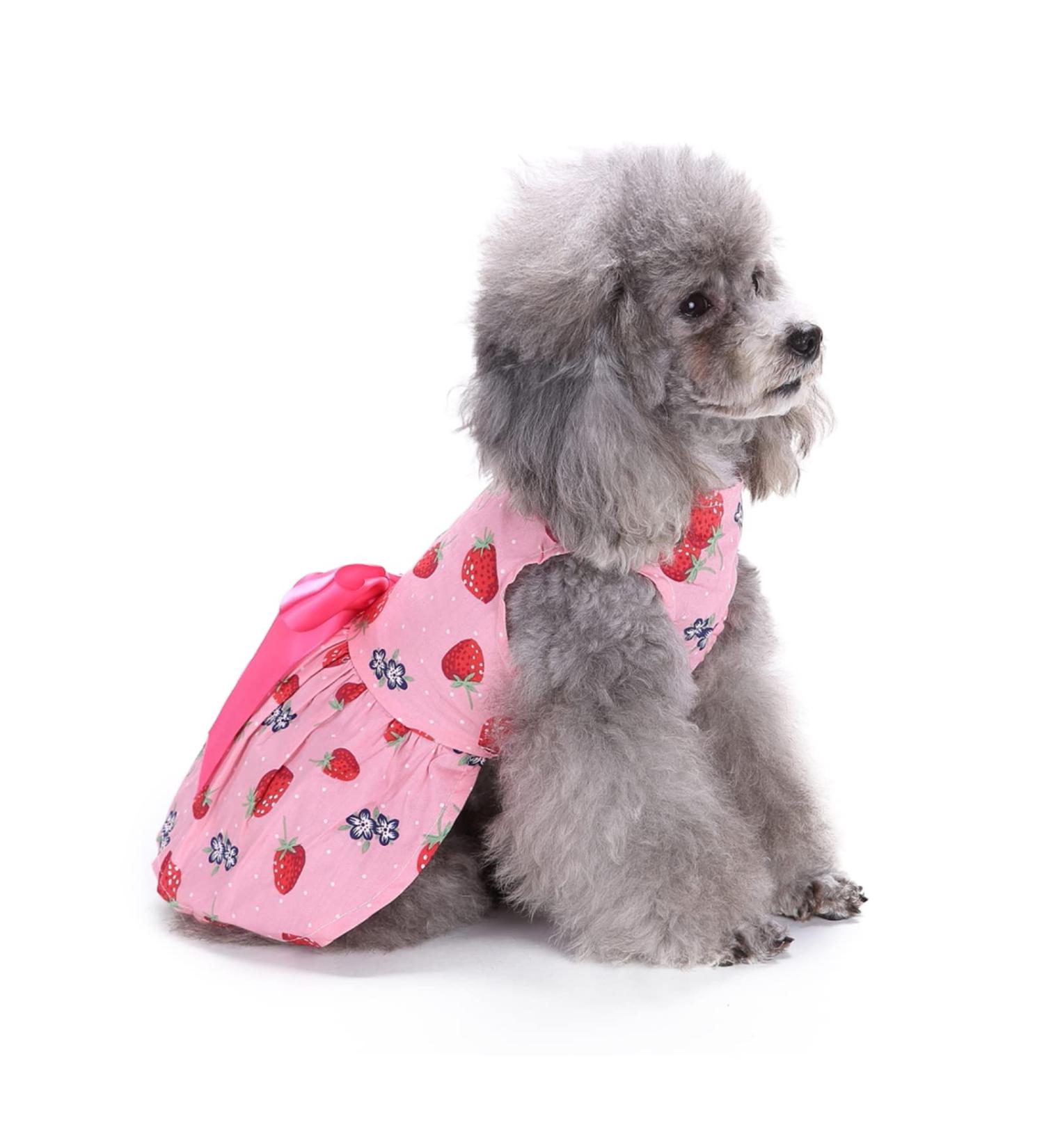 Petcute Dog Dress Elegant Summer Dress for Little Dogs with Flower Design & Bowknot Perfect Tutu Skirt for Puppy Weddings - Buy Online on GoSupps.com