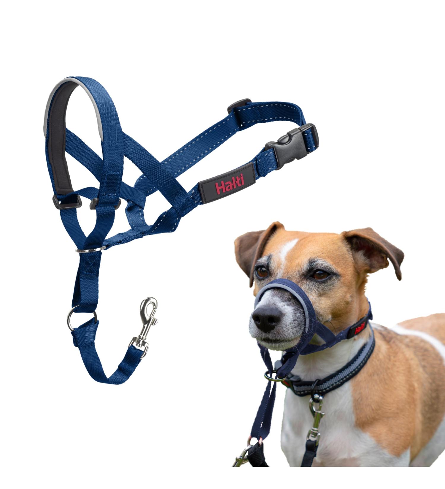 Halti Head Harness for Small Dogs | Cobalt Blue No-Pull Leash & Padded Nose Strap | Adjustable Training Solution - Buy Online on GoSupps.com