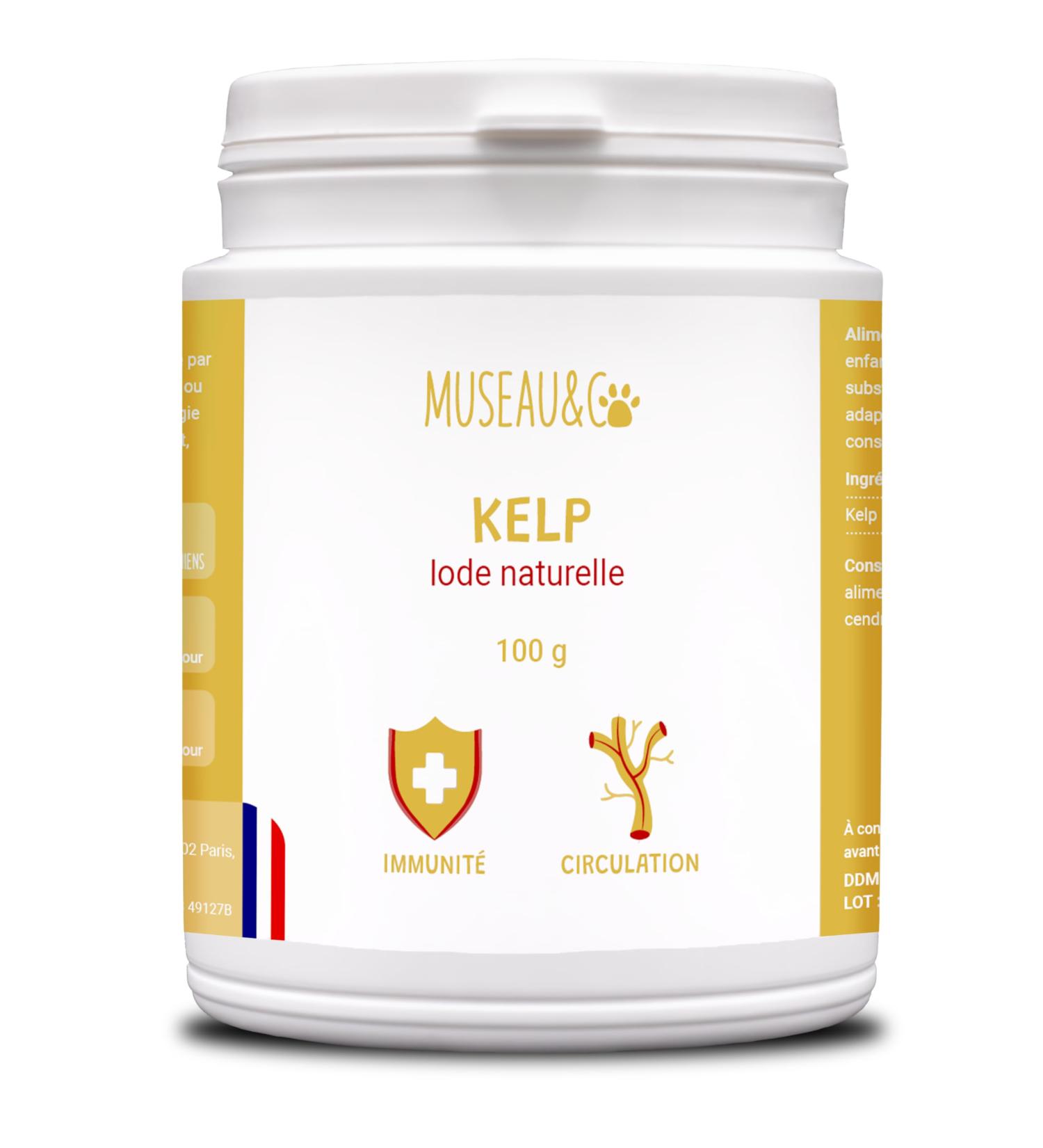 Kelp Powder for Dogs and Cats - 100% Natural Food Supplement - Rich in Iodine and Minerals - Boosts Immune Defenses - Supports the Thyroid - 100g - Buy Online on GoSupps.com