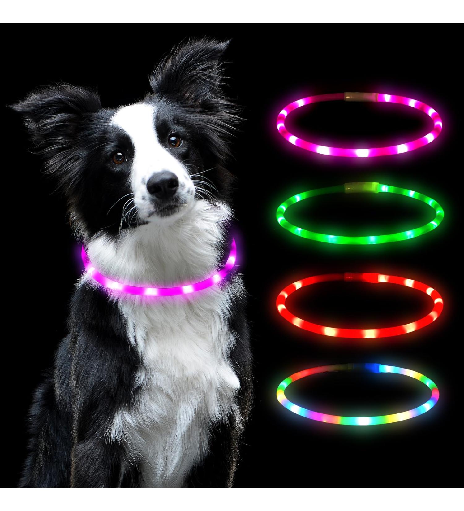 Auauy LED Light Neck Band for Dogs & Cats - Adjustable USB Rechargeable Waterproof Silicone Collar with 4 Modes (Pink) | Pet Safety Gear - Buy Online on GoSupps.com
