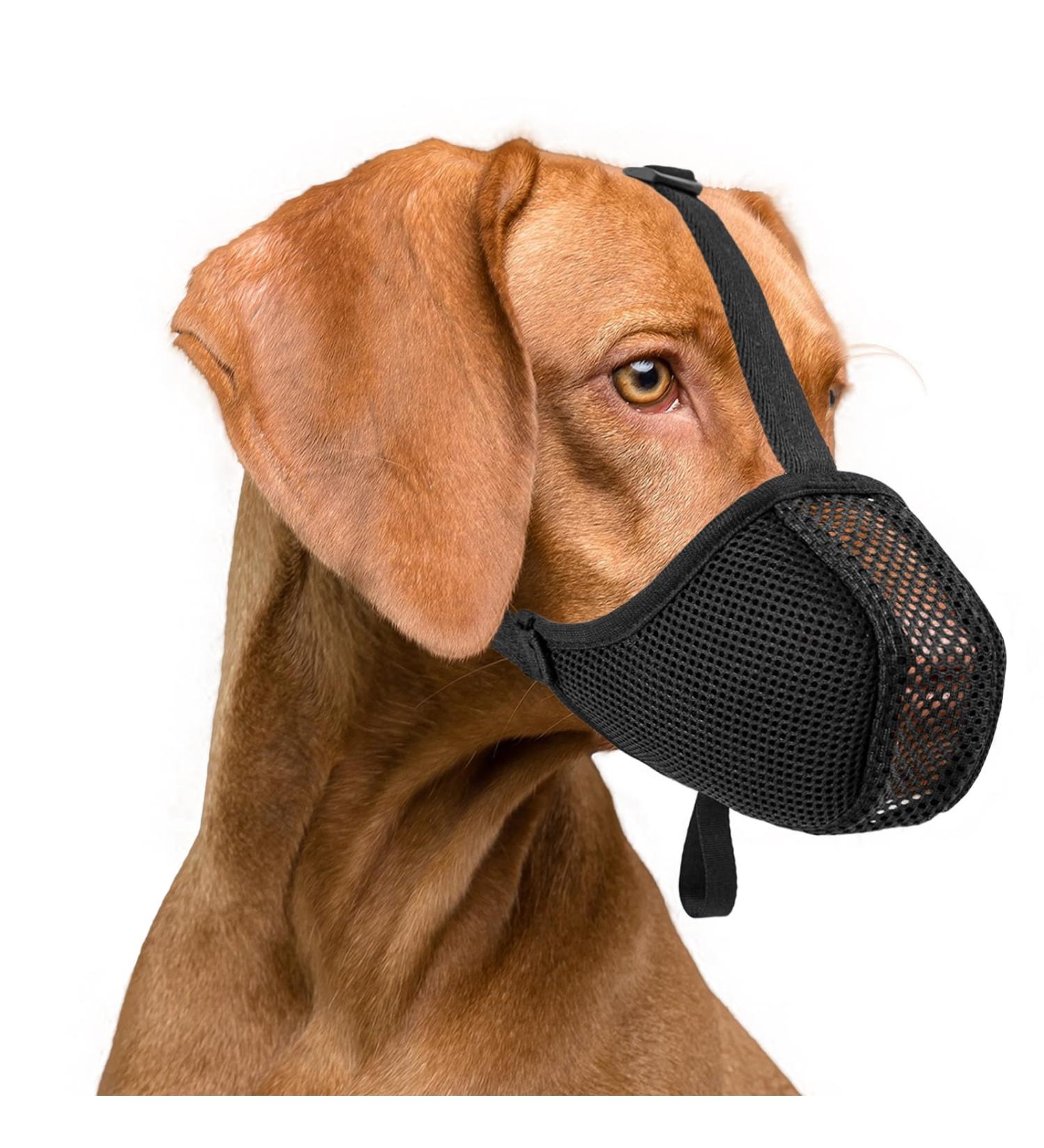 Ilepark XL Black Soft Dog Muzzle - Comfortable Breathable & Adjustable for Small Medium & Large Dogs - Ideal for Gases & Drinks - Buy Online on GoSupps.com