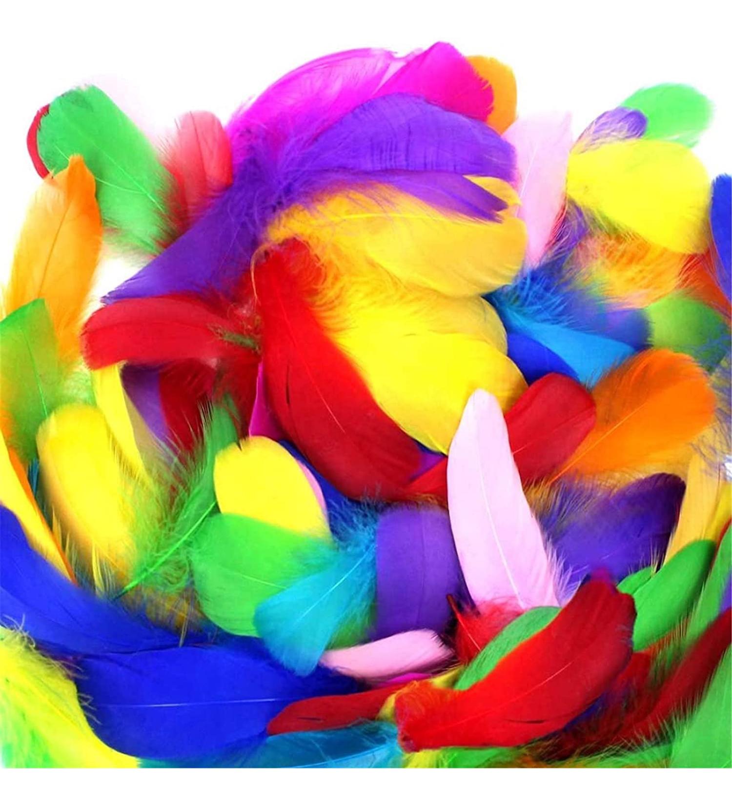 Coceca 300pcs Colorful Feathers for DIY Craft, Wedding, and Party Decor - Buy Online on GoSupps.com