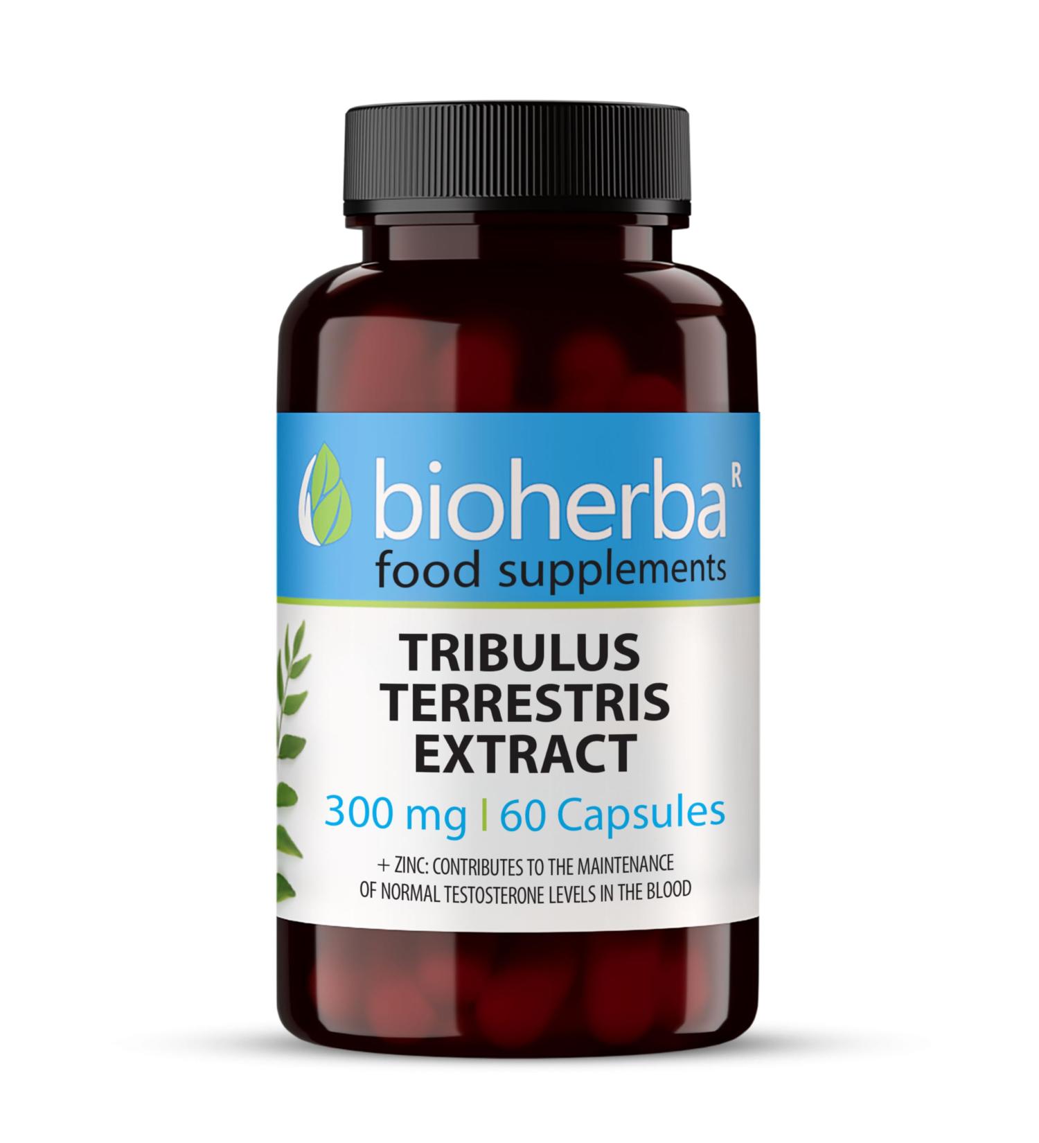 Tribulus Terrestris 300 mg - 60 Capsules: Powerful Boost for Men and Women Erection and Vitality Enriched with Zinc by BIOHERBA - Buy Online on GoSupps.com