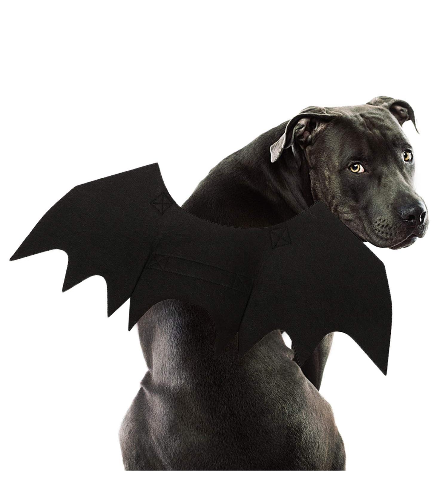 Rypet Dog Bat Costume - Halloween Pet Costume Bat Wings Cosplay Dog Costume Cat Costume for Party Large (Pack of 1) - Buy Online on GoSupps.com