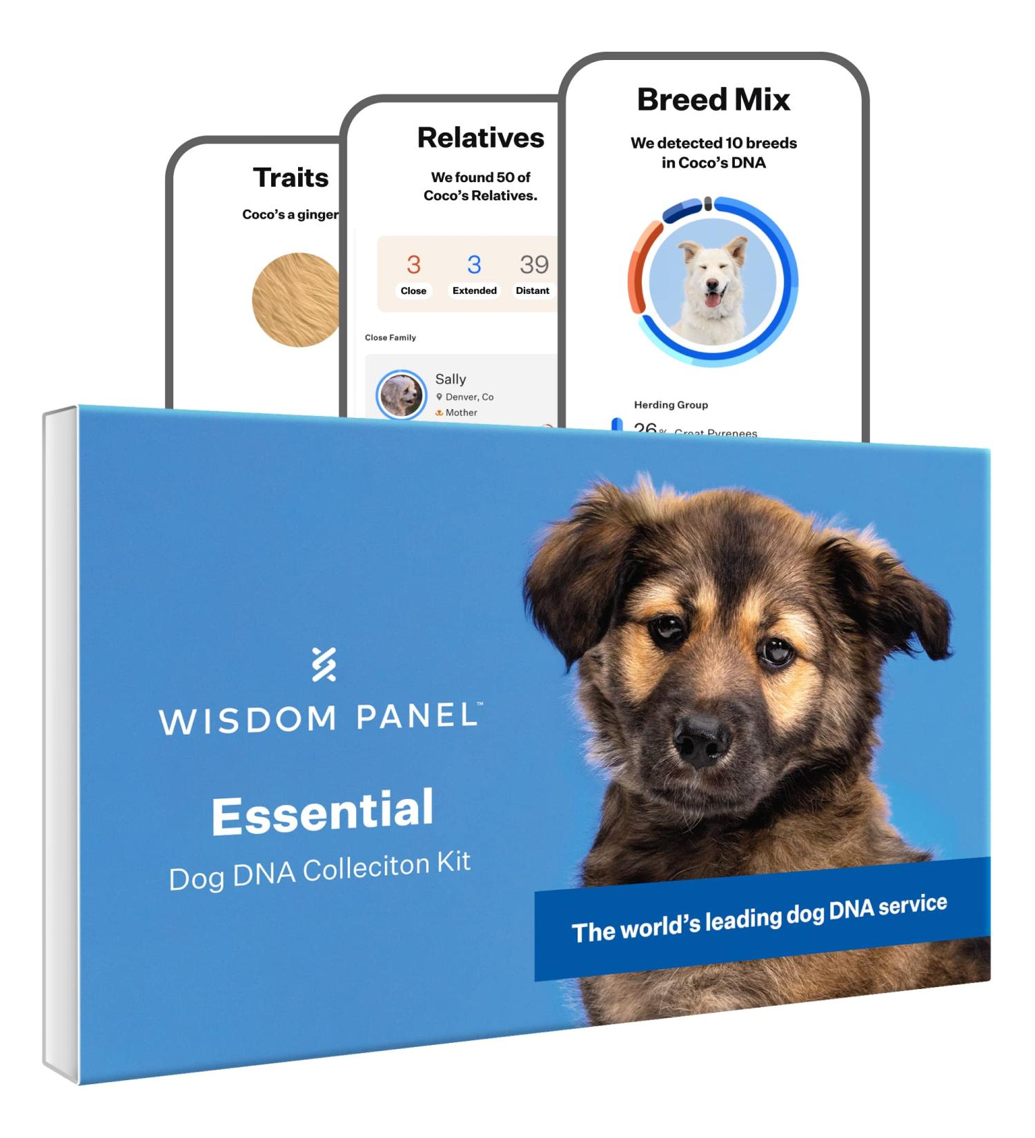 Wisdom Panel Essential Dog DNA Test Kit: Accurate Breed ID, Ancestry & Health | 25+ Conditions | Traits | Relatives - 1 Pack - Buy Online on GoSupps.com