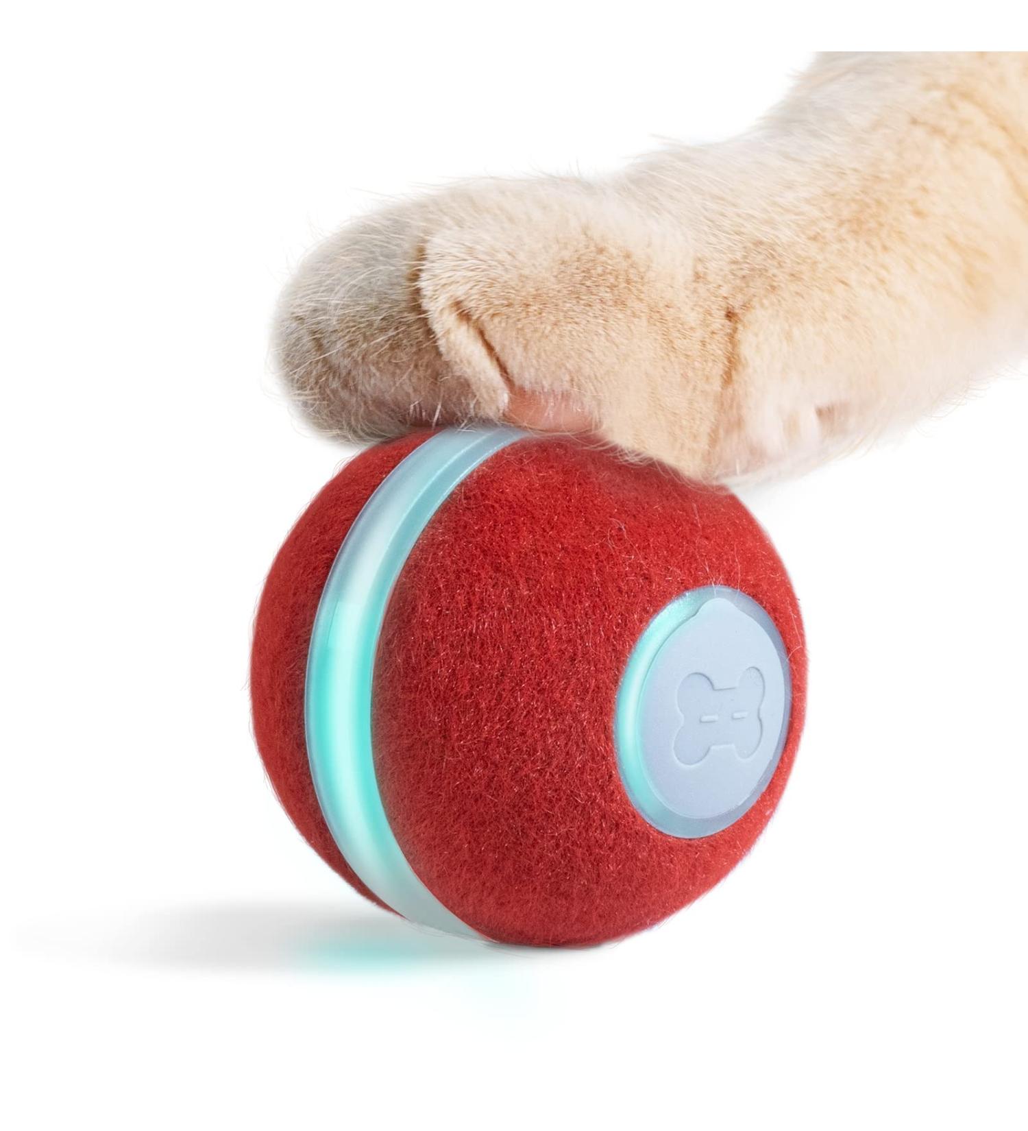 Cheerble Smart Interactive Cat Toy - Automatic Moving Bouncing Rolling Ball with Lights and Bell - Red - Buy Online on GoSupps.com