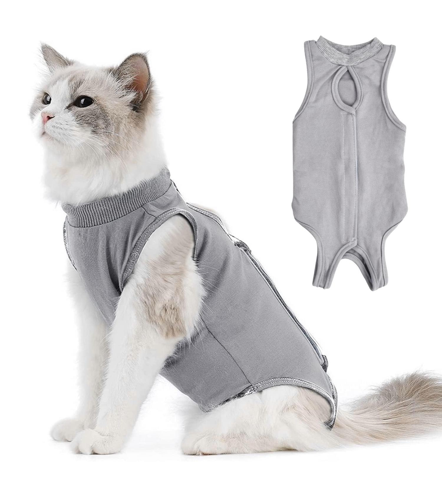 Premium Katzenbody for Cats | Post-Surgery Recovery Suits & E-Collar Alternatives | International Shipping - Buy Online on GoSupps.com
