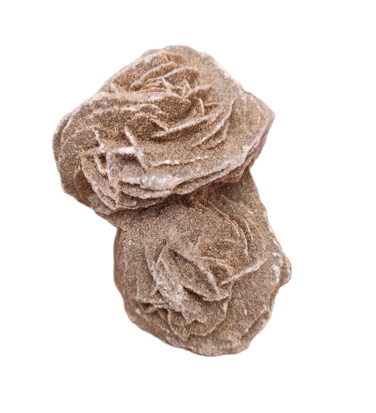 Crystal 1pcs Natural Desert Rose Selenite raw Crystal Stone Specimen Rough Sample Cluster fengshui Decor Can be Used for JIZTGEDM (Size : 70-100g) - Buy Online on GoSupps.com