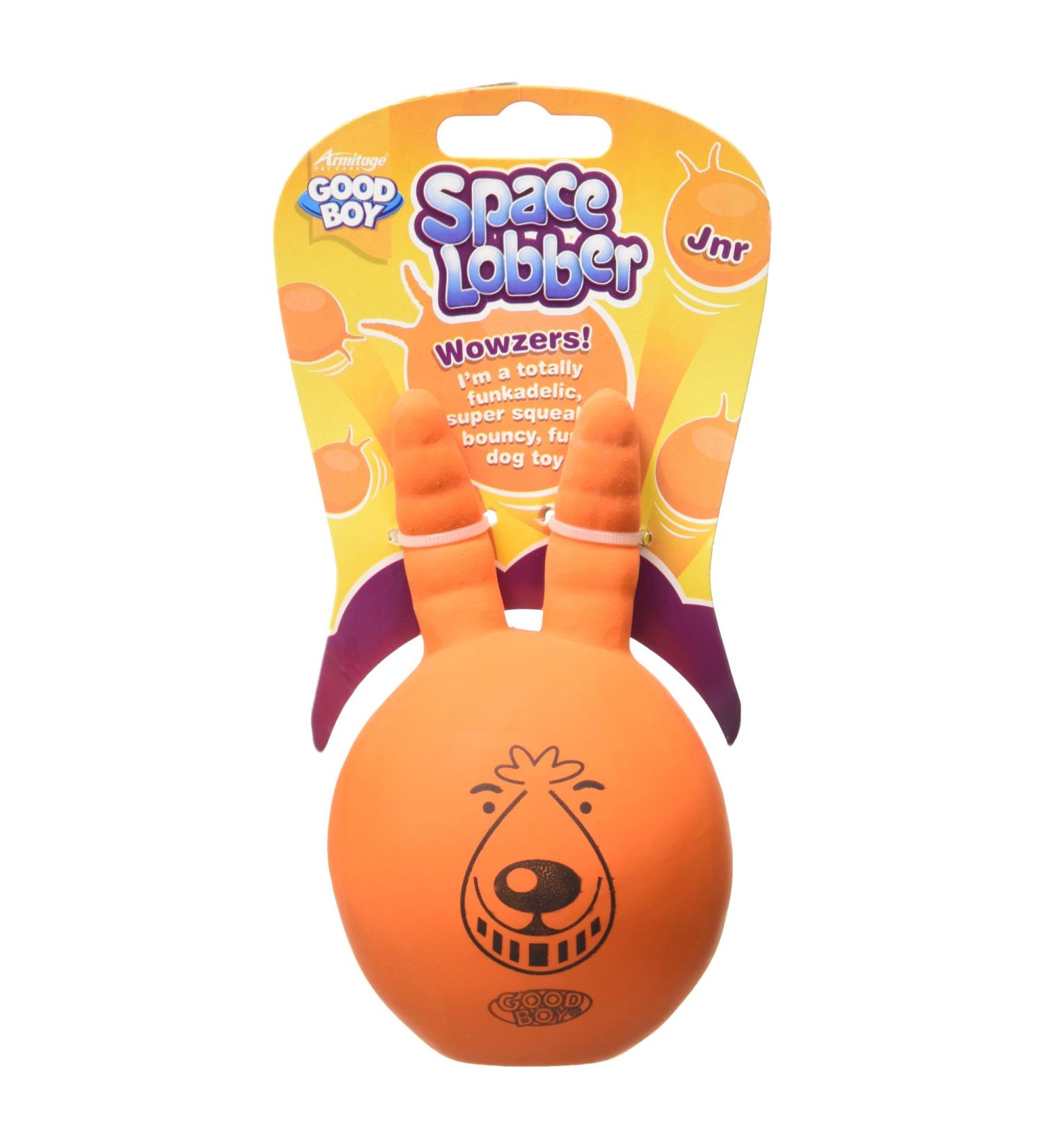 Good Boy Lob It! Junior Space Lobber - Buy Online on GoSupps.com