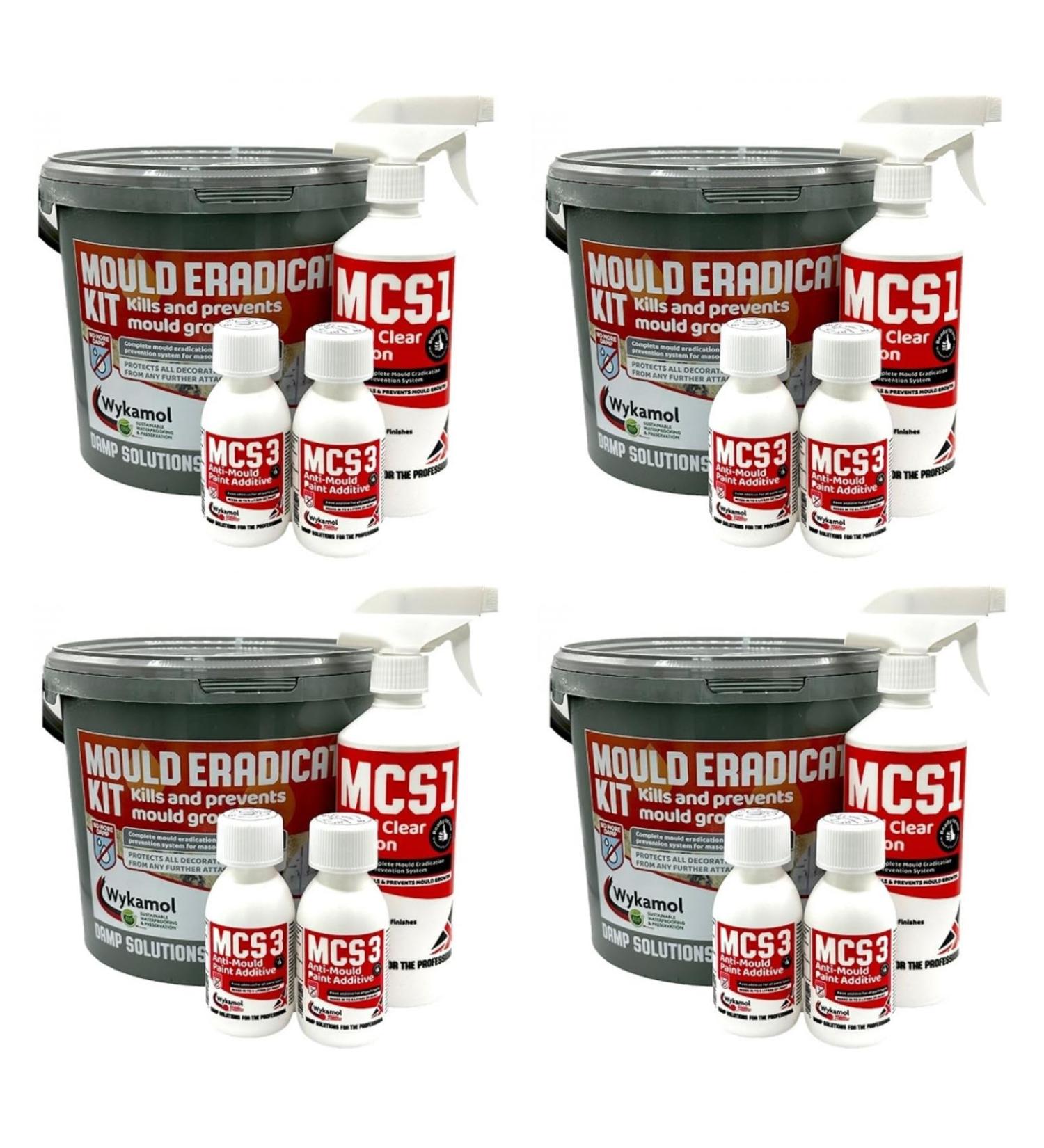 Homecare Essentials Mould Eradication Kit Kills Black Mould and Prevents Growth (4)