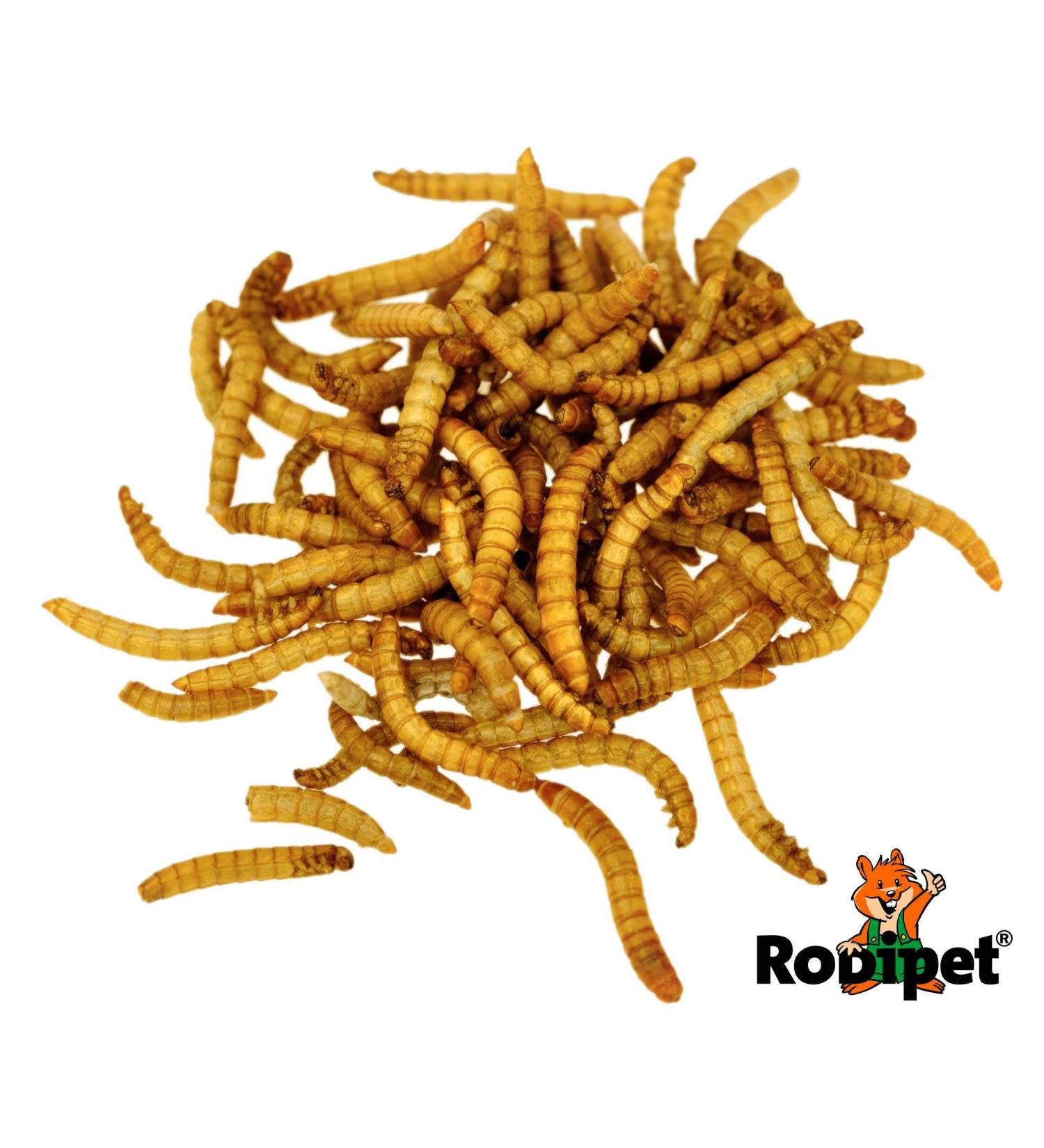 Rodipet Mealworm Protein Snack 70g - High-Quality International Shipping for Pets - Buy Online on GoSupps.com