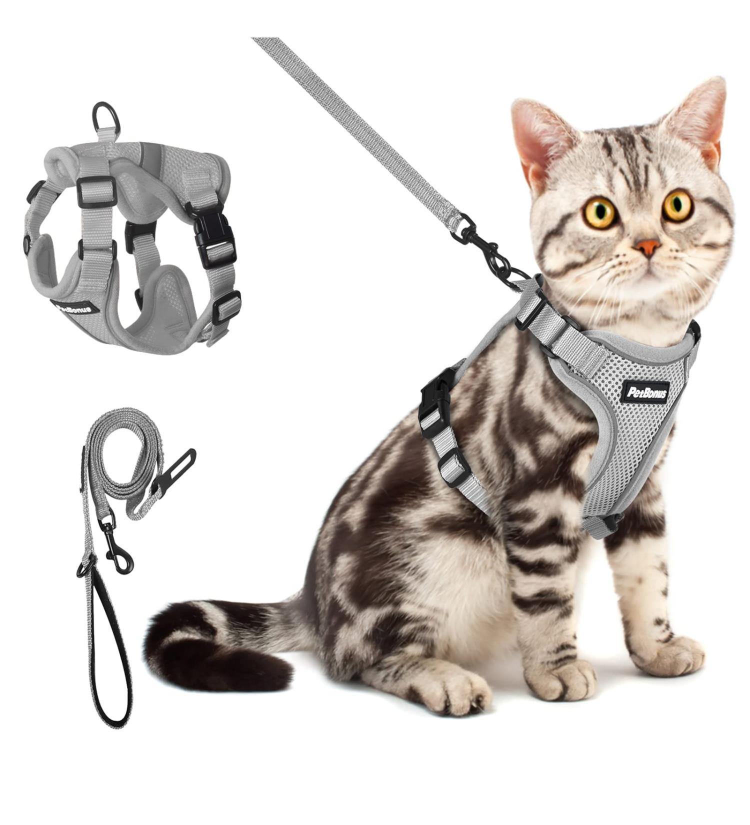 Petbonus Adjustable Cat Dishes & Harness Set - Soft Breathable Cat Bowls with Reflex Stripes for Kittens (XS Gray) - International Shipping - Buy Online on GoSupps.com