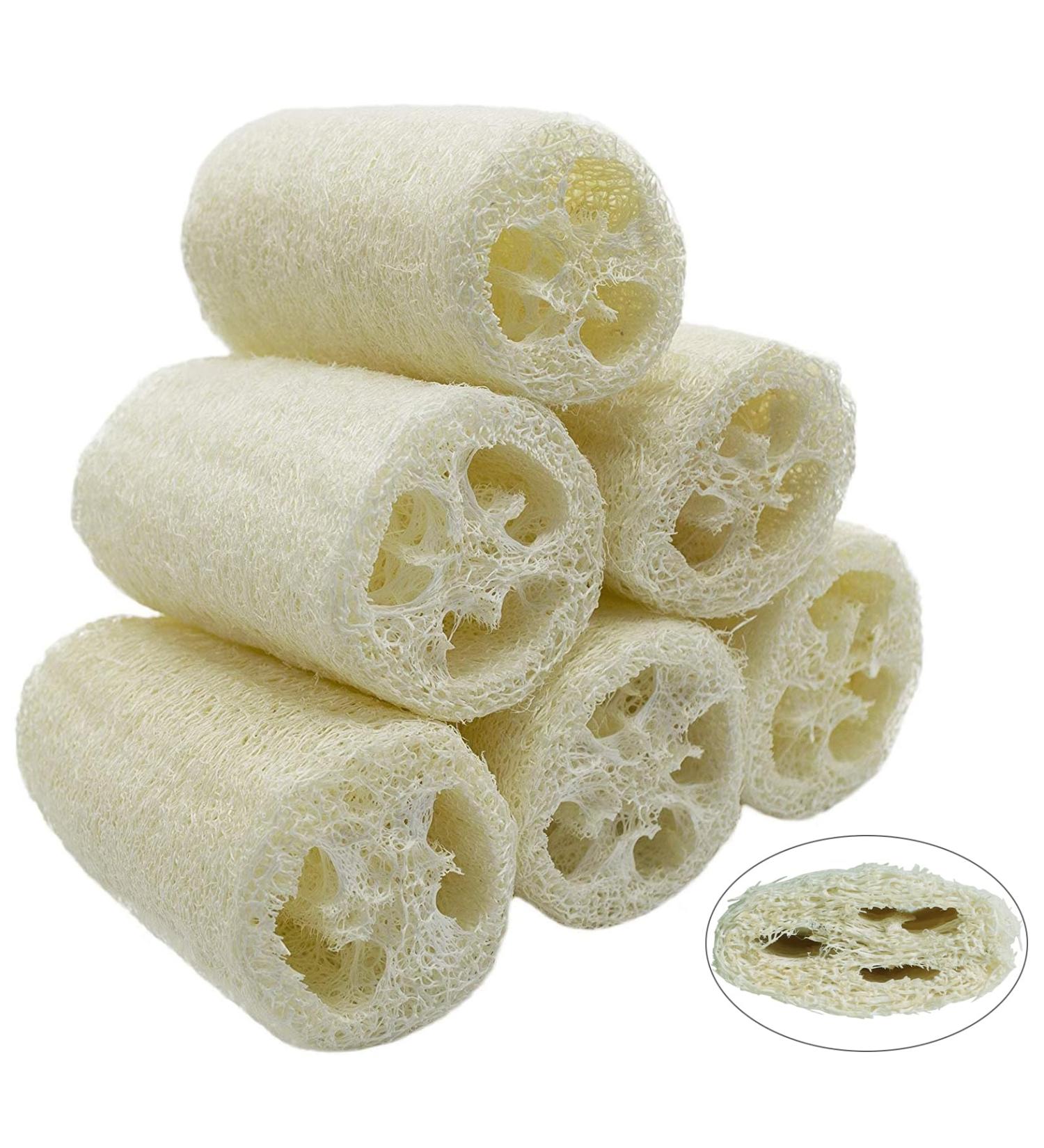 Buy 6 Pack Natural Luffa Sponge - 10cm Exfoliating Cucumbers for Skin Care Bath & Shower Peeling - Eco-Friendly Body & Kitchen Sponge - Buy Online on GoSupps.com